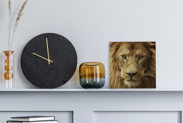 OneMillionCanvasses® Leinwandbild Porträt - Afrika - Löwe, (1 St), Leinwand Bilder für Wohnzimmer Schlafzimmer