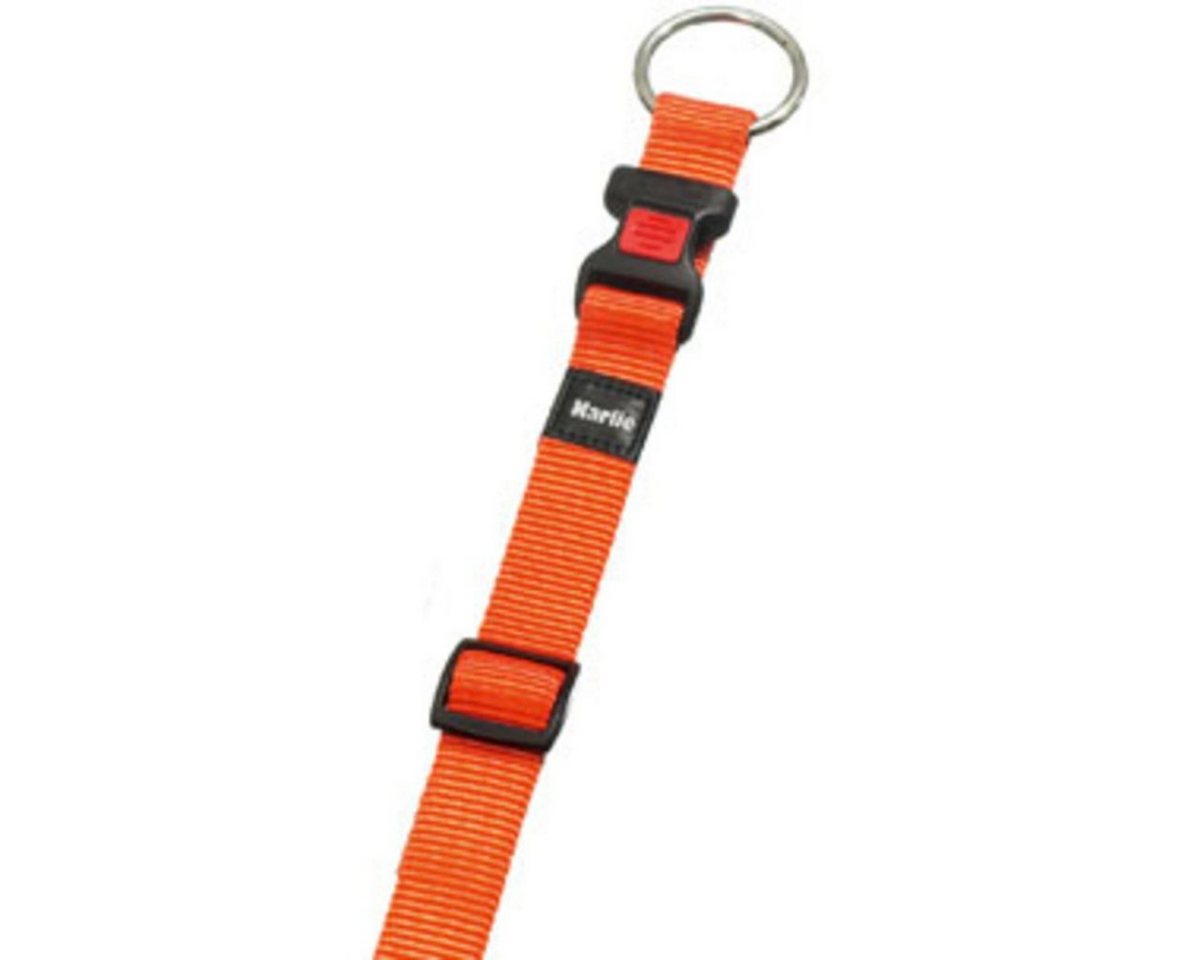 Thumbnail - Flamingo Hunde-Halsband Halsband Ziggi orange