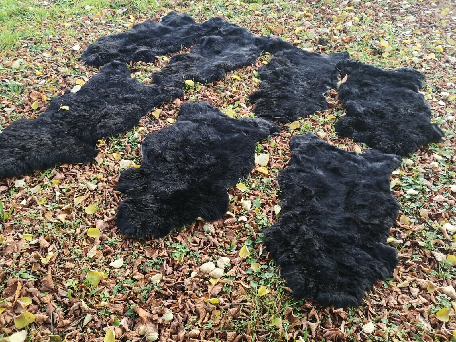 Provellus Fellteppich Echte Öko Schaffelle Lammfell Schwarz Bis 140 cm 2.Wa günstig online kaufen