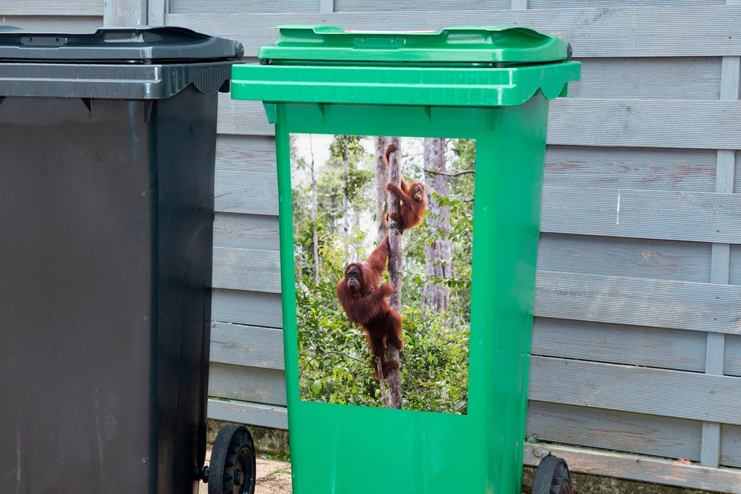 MuchoWow Wandsticker Orang-Utan (1 Sticker, Mülltonne, Tanjung-Puting-Nationalpark, Borneo Container, und Mülleimer-aufkleber, im St), Abfalbehälter Kind