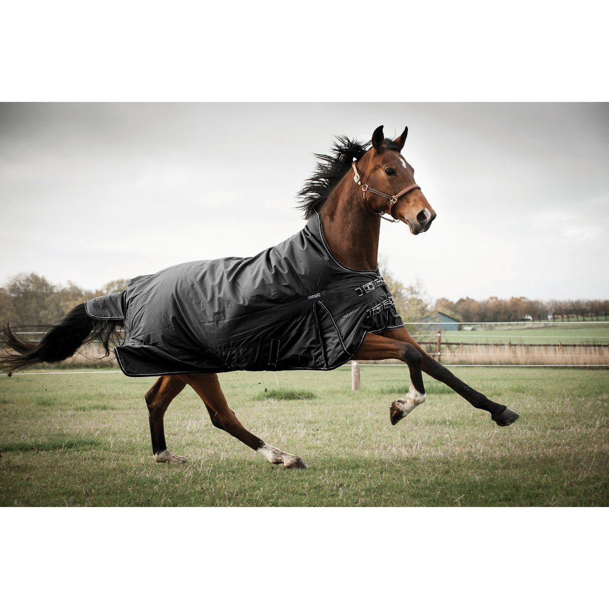 CATAGO Pferde-Thermodecke Outdoordecke Justin für Pferde, 300g, schwarz, 155 cm, warm, wasserdicht, atmungsaktiv