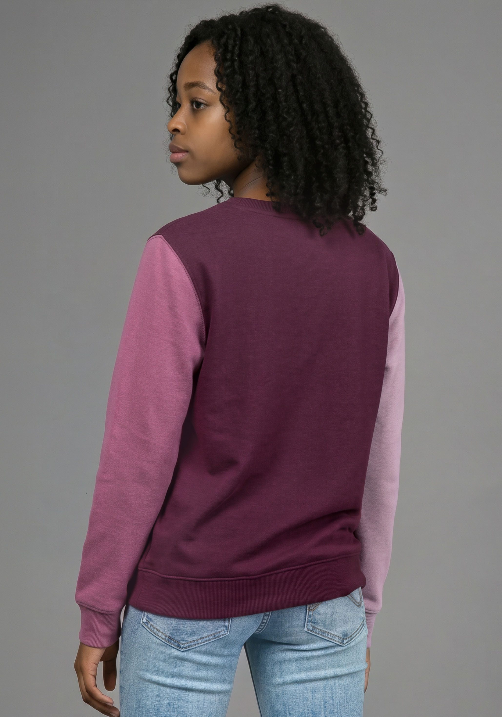 KangaROOS Sweatshirt Sweatshirt mit kontrastfarbigen Ärmeln und KangaROOS Stickerei Colorblocking, aus Sweatware, in Basic-Passform, Mini-Me – Bild 5 von 5