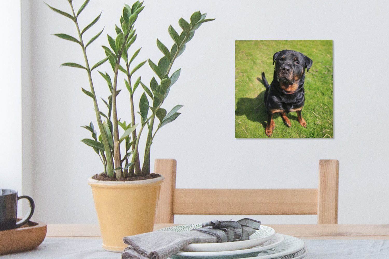 OneMillionCanvasses® Leinwandbild Rottweiler Wohnzimmer für (1 Bilder St), an, seinen Schlafzimmer Leinwand schaut Besitzer
