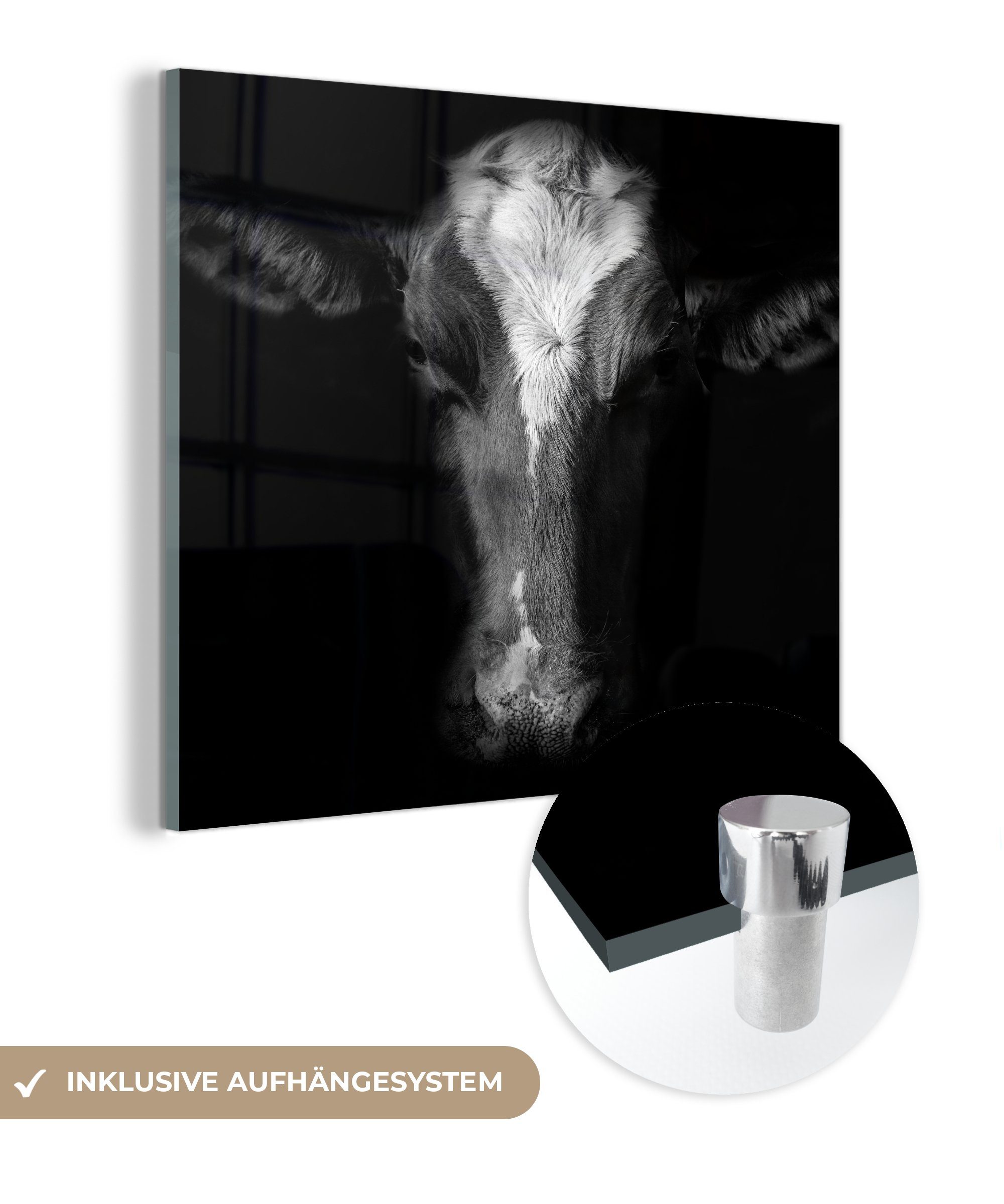 MuchoWow Acrylglasbild Kuh Porträt auf schwarzem Hintergrund in schwarz und weiß, (1 St), Glasbilder - Bilder auf Glas Wandbild - Foto auf Glas - Wanddekoration