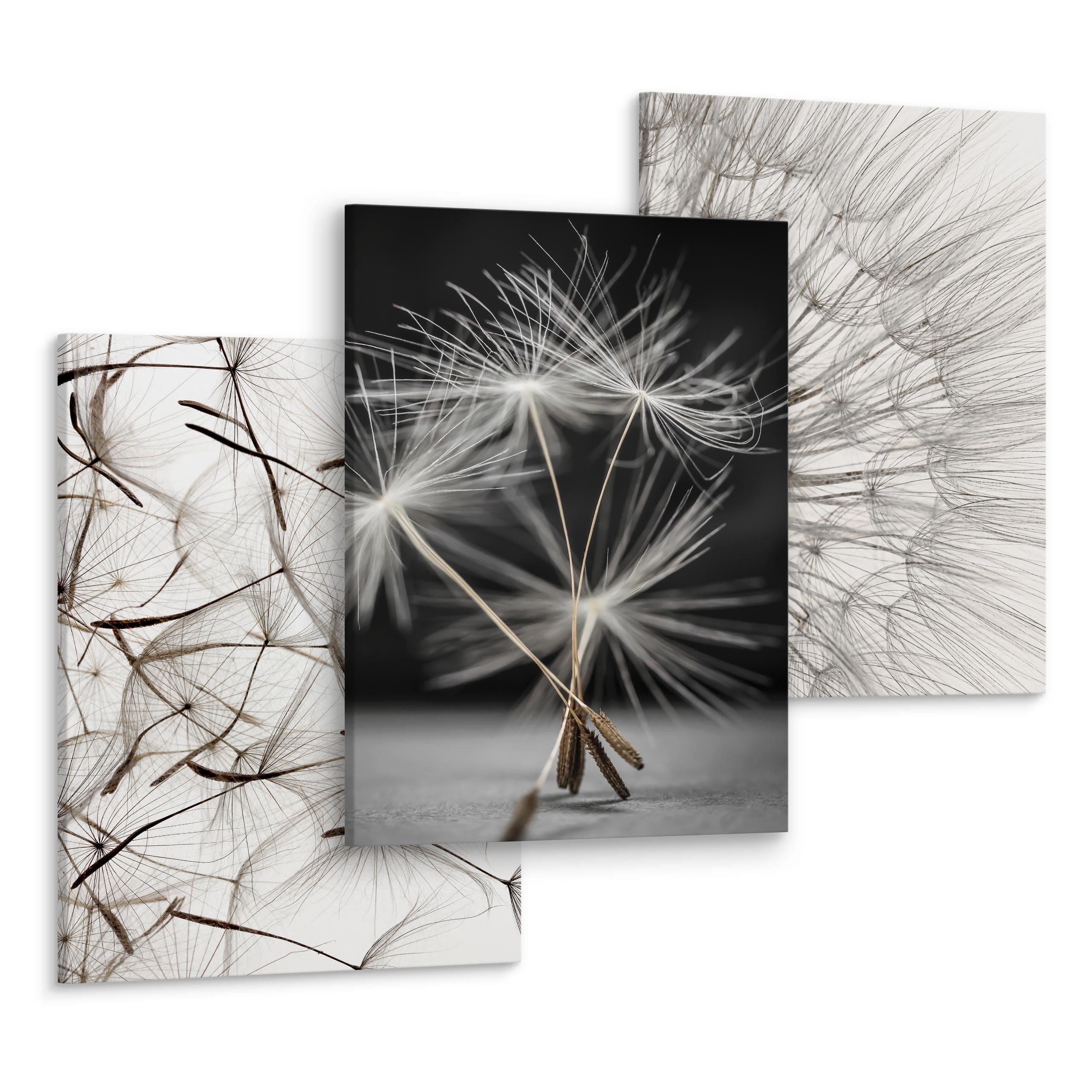 Muralo Mehrteilige Bilder Wandbilder 3er-Set Leinwand Natur – Leinwandbild mehrteilig Wohnzimmer, Natur (Set, 3 St), 3x 30x40 cm – Pusteblumen, aufhängefertig, Holzrahmen