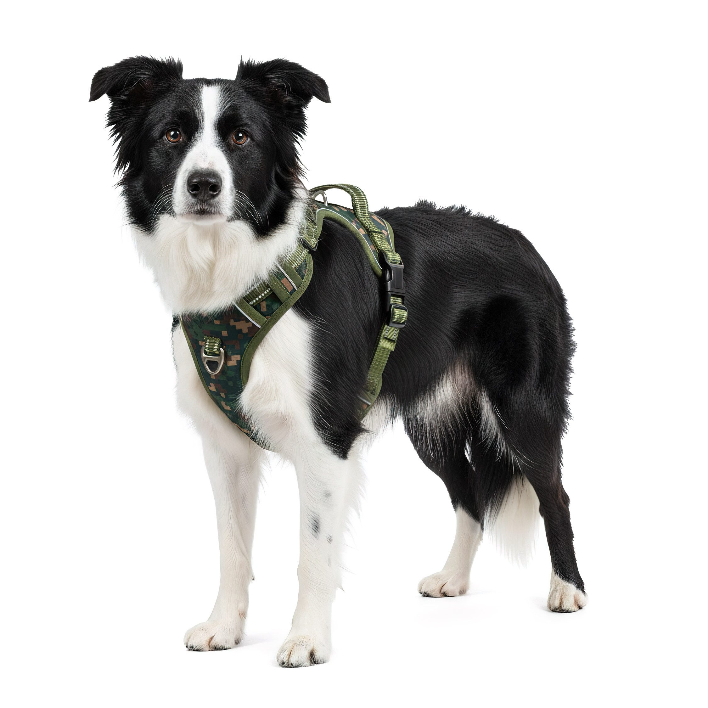 Reichstadt Hunde-Geschirr RS Pets Norwegergeschirr 25RSP083, Polyester, atmungsaktives Netzgewebe und robuster Oxford-Stoff