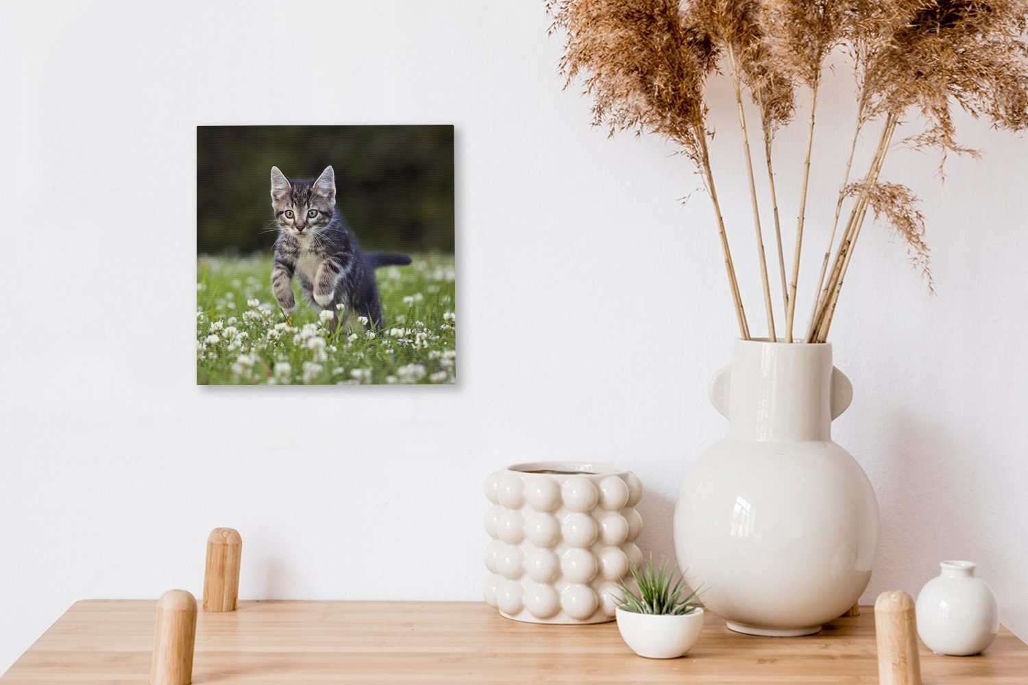 Ein Schlafzimmer OneMillionCanvasses® Leinwand für Kleefeld, Leinwandbild (1 einem Kätzchen St), Bilder in Wohnzimmer