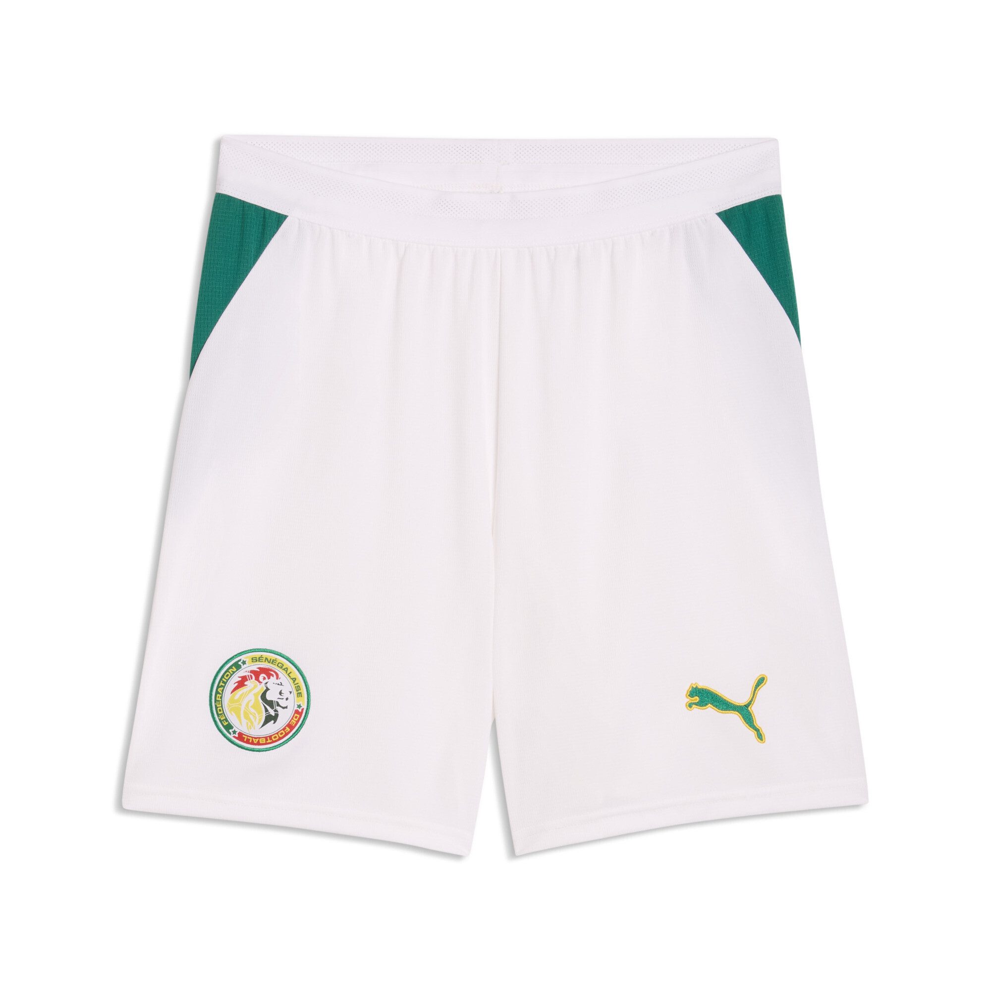PUMA Sporthose Senegal Shorts Herren