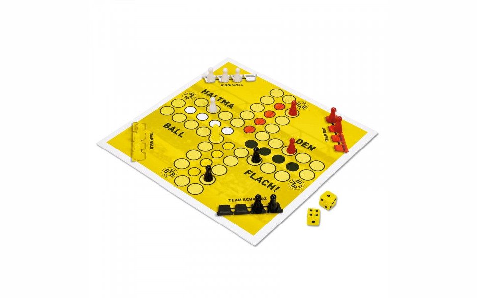 BVB Lernspielzeug Spiel: Haltma den Ball flach!
