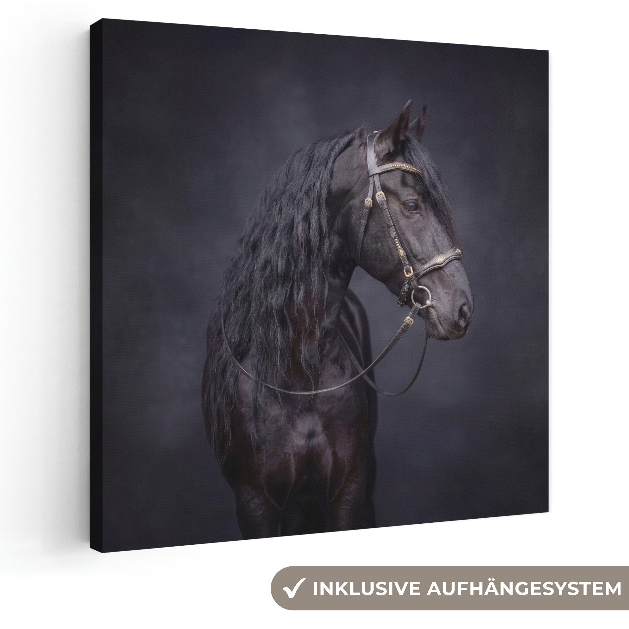 OneMillionCanvasses® Leinwandbild Porträt - Pferd - Dunkelheit, Fotodruck (1 St), Wandbild, Deko Schlafzimmer Wohnzimmer Flur 20x20 cm