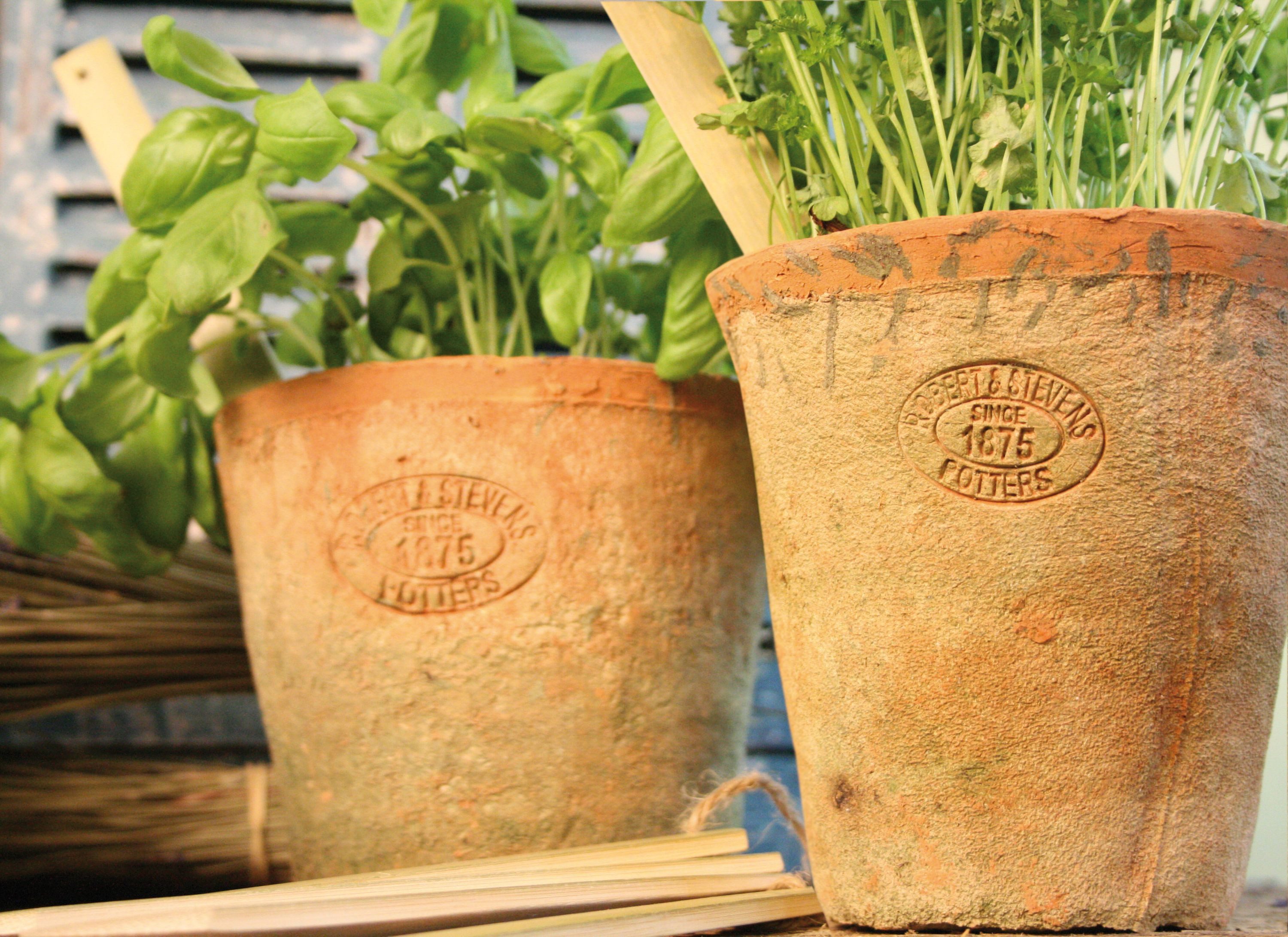 esschert design Übertopf Aged Terracotta Blumentopf 3er Set Übertopf Umtopf rund verschieden – Bild 2 von 2