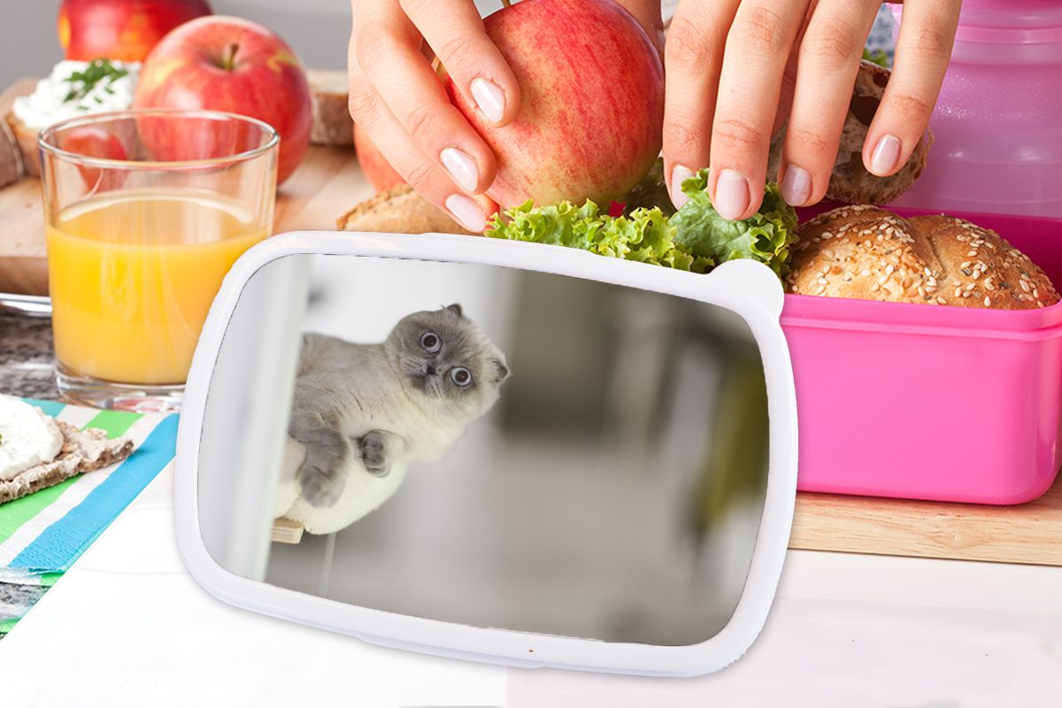 Kunststoff Brotdose Brotbox rosa Mädchen, Katze - (2-tlg), für Lunchbox MuchoWow - Kunststoff, Wohnzimmer, Erwachsene, Tier Kinder, Snackbox,