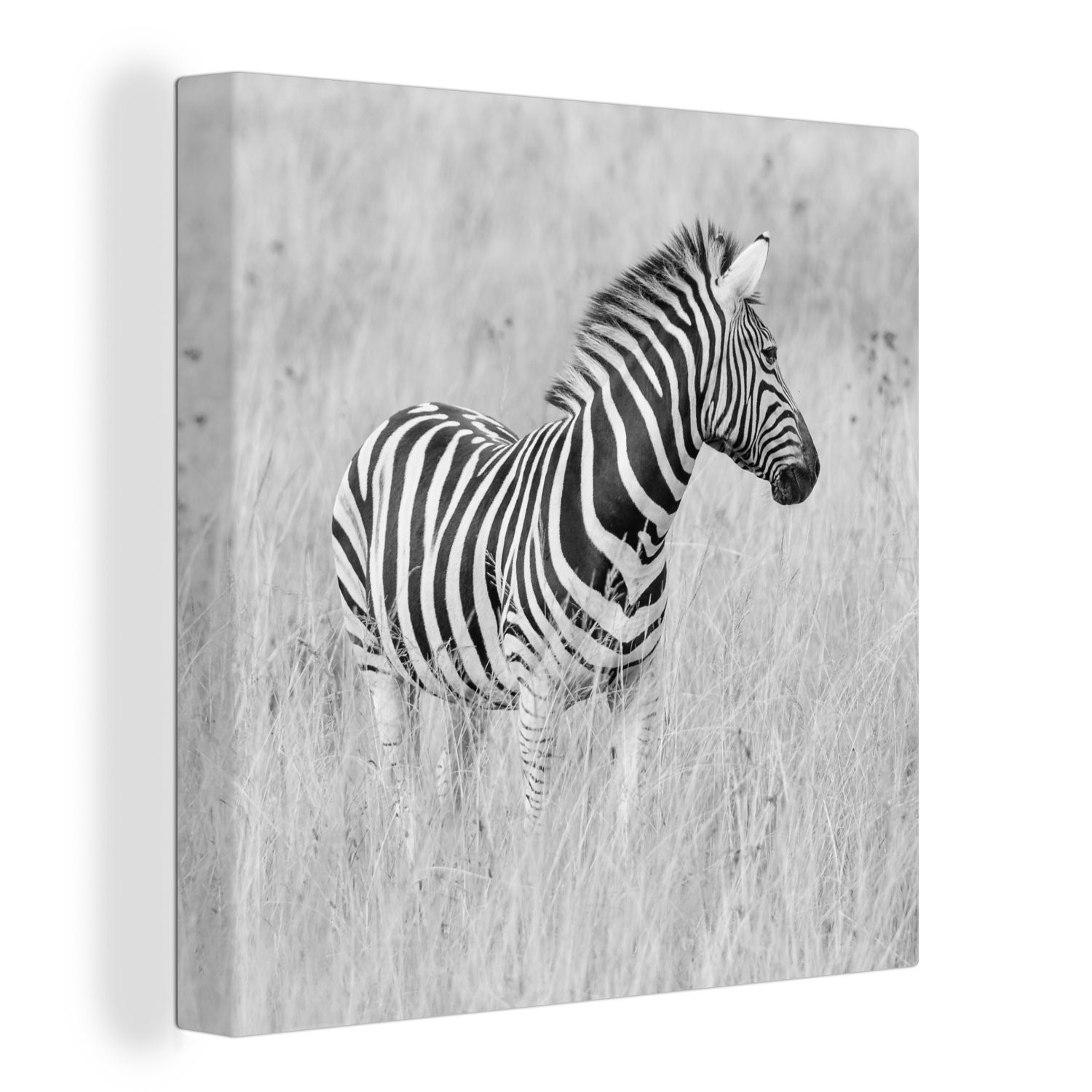 OneMillionCanvasses® Leinwandbild Zebra auf der Wiese, (1 St), Leinwand Bilder für Wohnzimmer Schlafzimmer