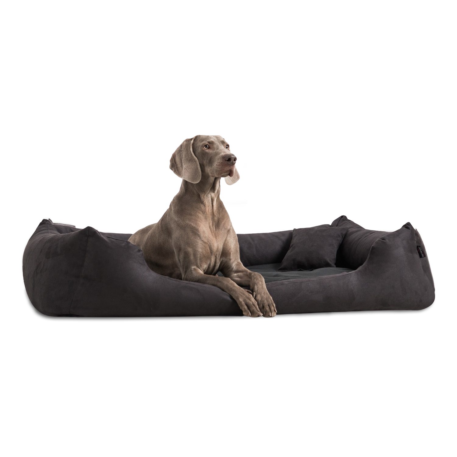 Tierbett Orthopädisches Hundebett PLUTO SOFT, Visco, Samtweiches Velours