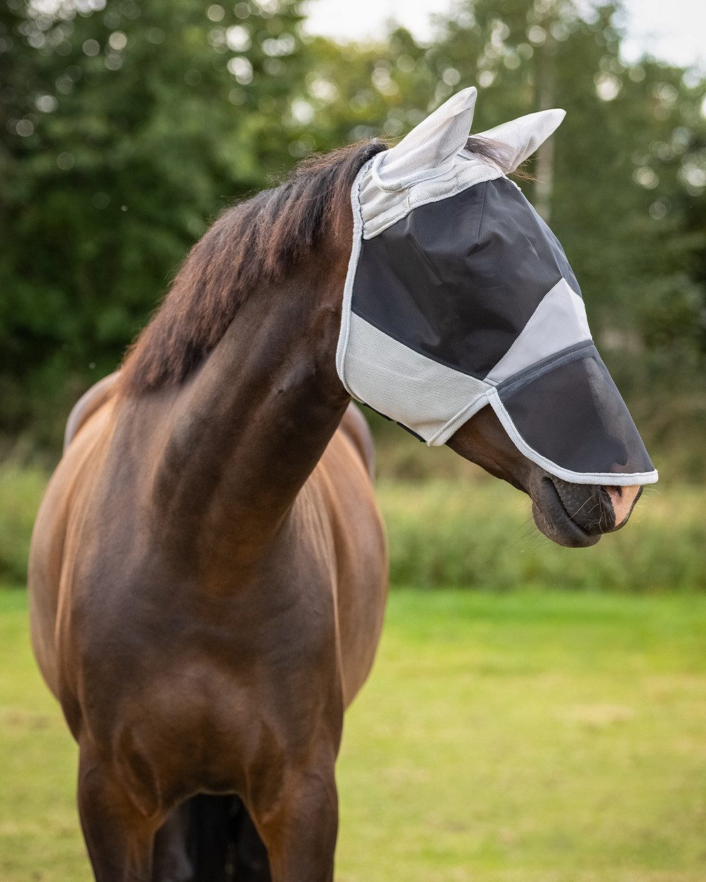 QHP Fliegenmasken Fliegenmaske Solaire