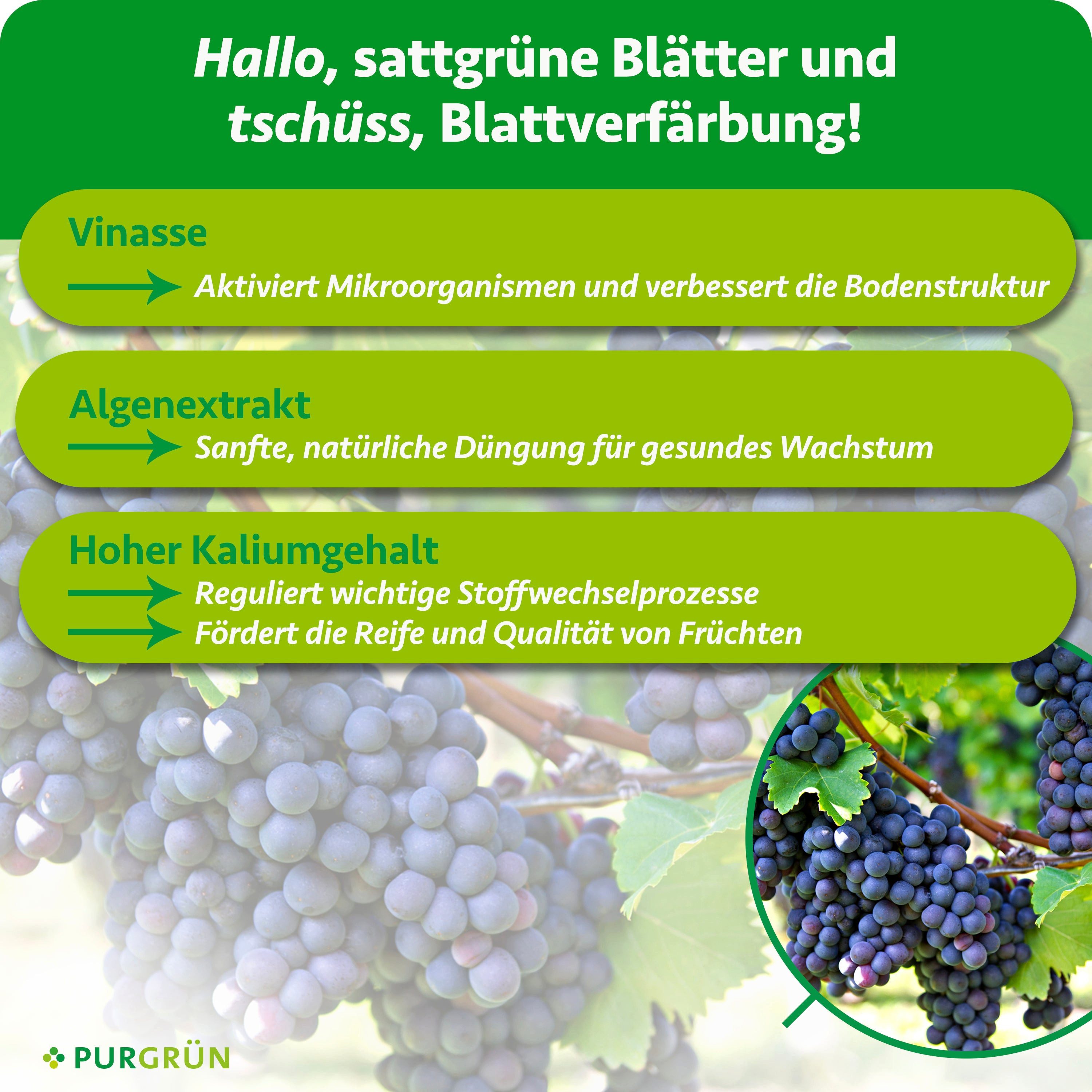 Purgrün Obstdünger Bio Weintrauben Dünger, NPK 4+1+7, Algenextrakt, 1 Liter, Flüssigdünger, 1-St., 1 Liter