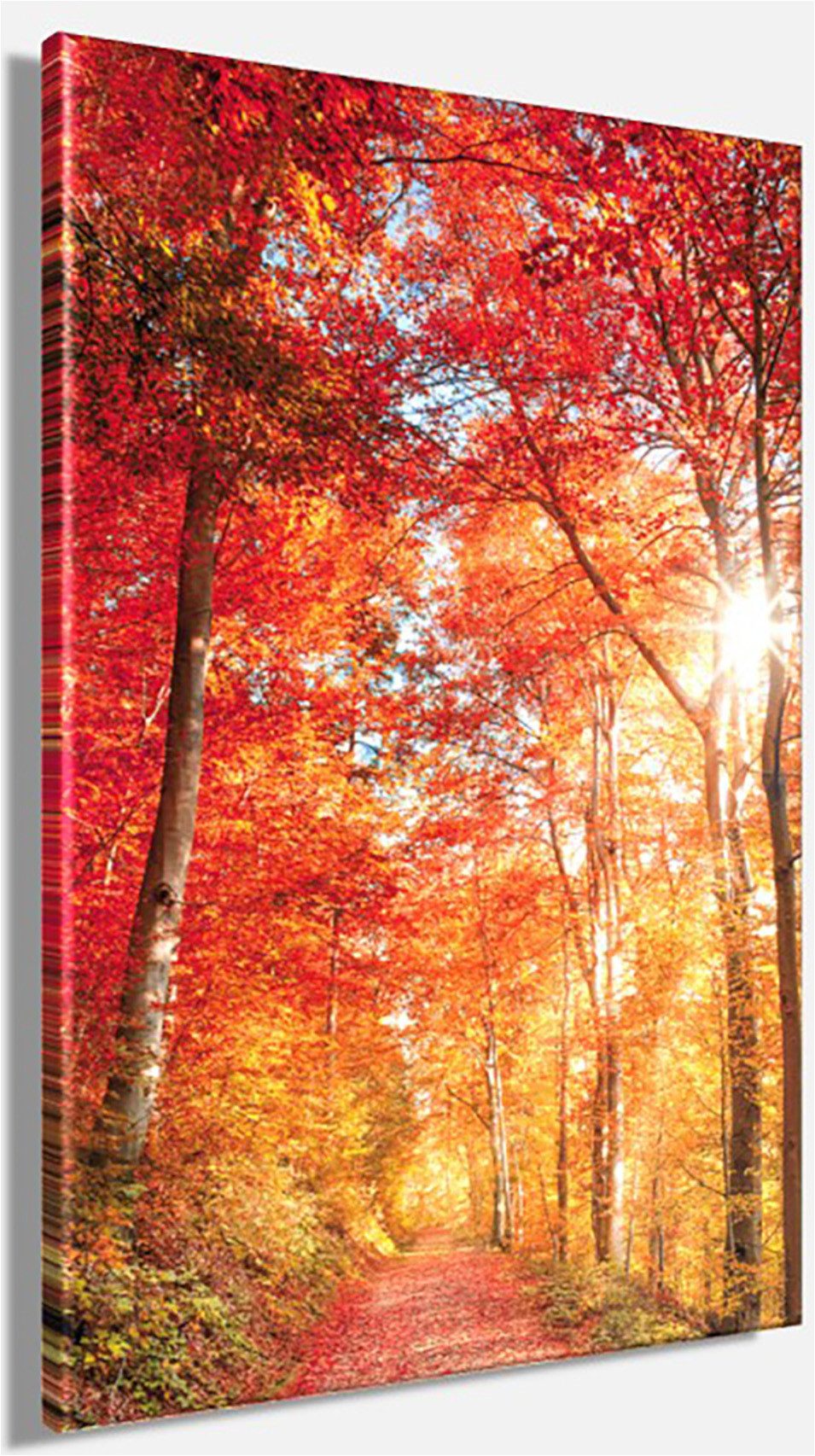 Bönninghoff Leinwandbild Wandbild BUNTER HERBSTWALD 60x90 cm – Leinwandbild Keilrahmen Deko, Baumbilder, Bäume, Landschaft, Natur, Wald, Waldbilder (1 St), auf  – Bild 3 von 5