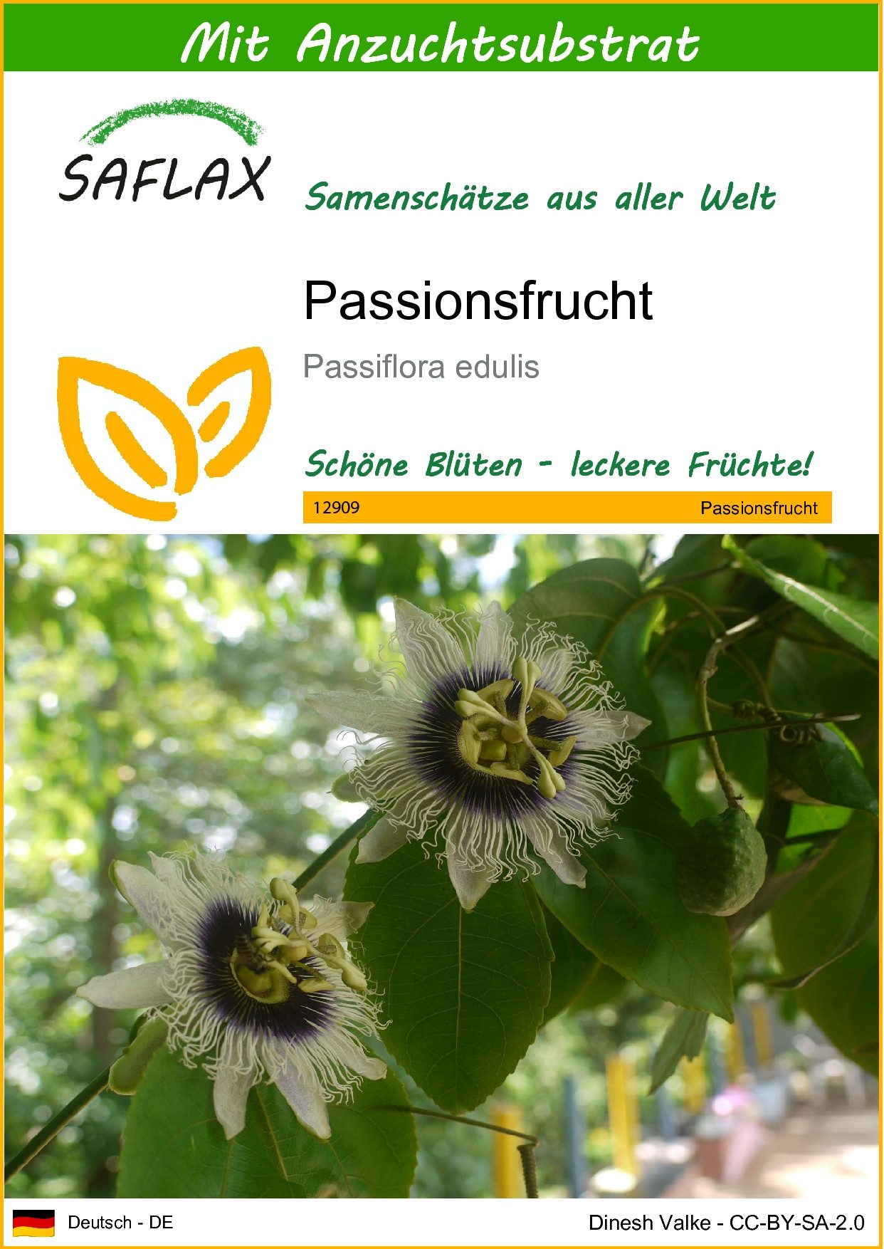 Blumensamen SAFLAX - Samen und Substrat - Passionsfrucht