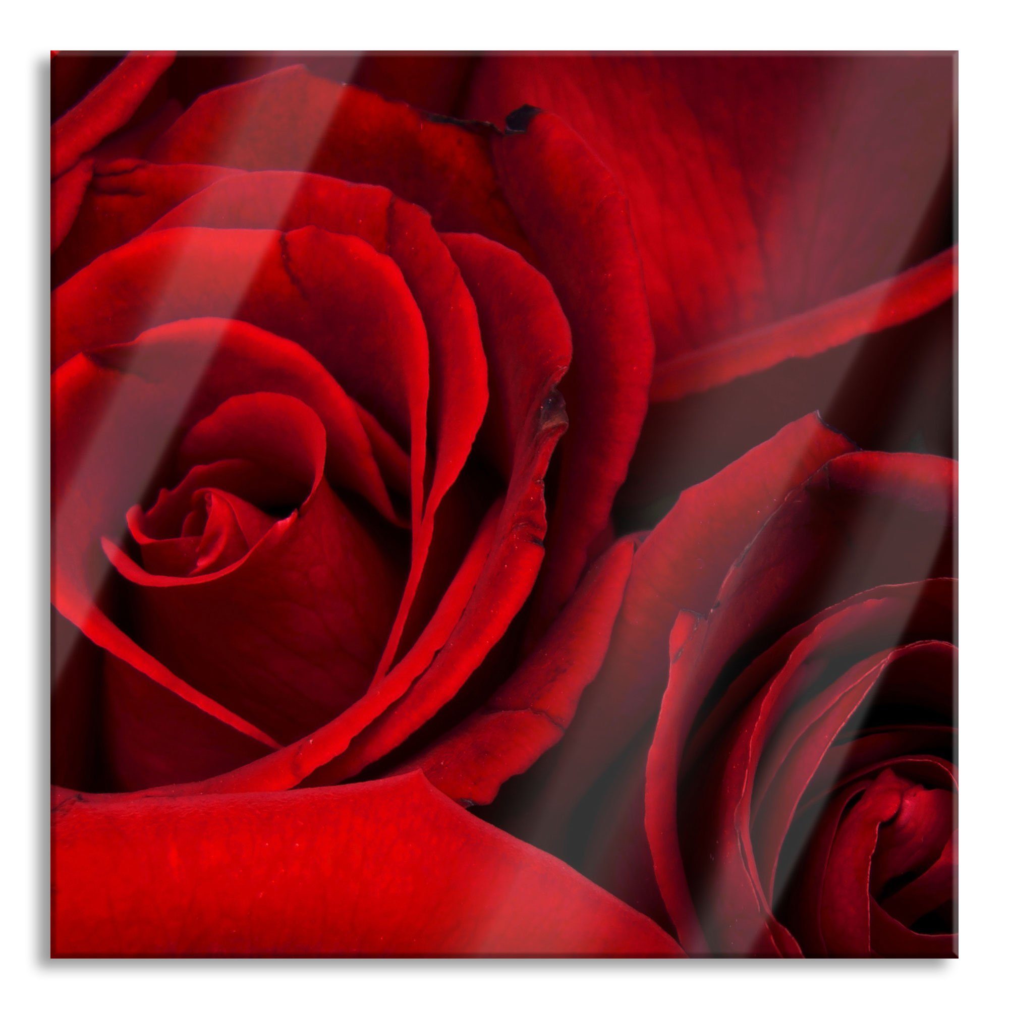 und (1 Echtglas, Abstandshalter Rosen Glasbild rote Glasbild rote Pixxprint Rosen, inkl. St), aus Aufhängungen
