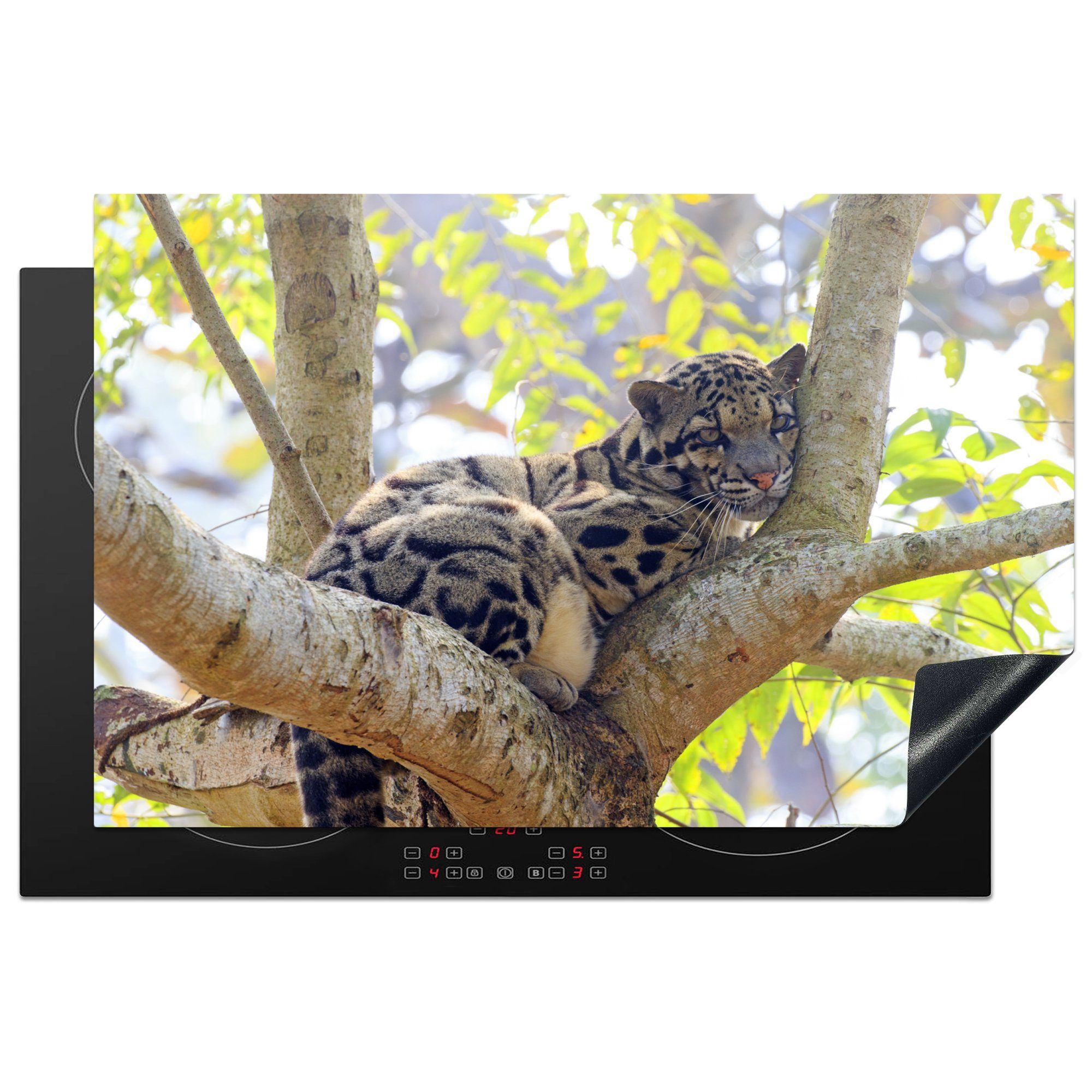 MuchoWow Herdblende-/Abdeckplatte Ein Wolkenleopard ruht sich auf einem Baum aus, Vinyl, (1 tlg), 81x52 cm, Induktionskochfeld Schutz für die küche, Ceranfeldabdeckung