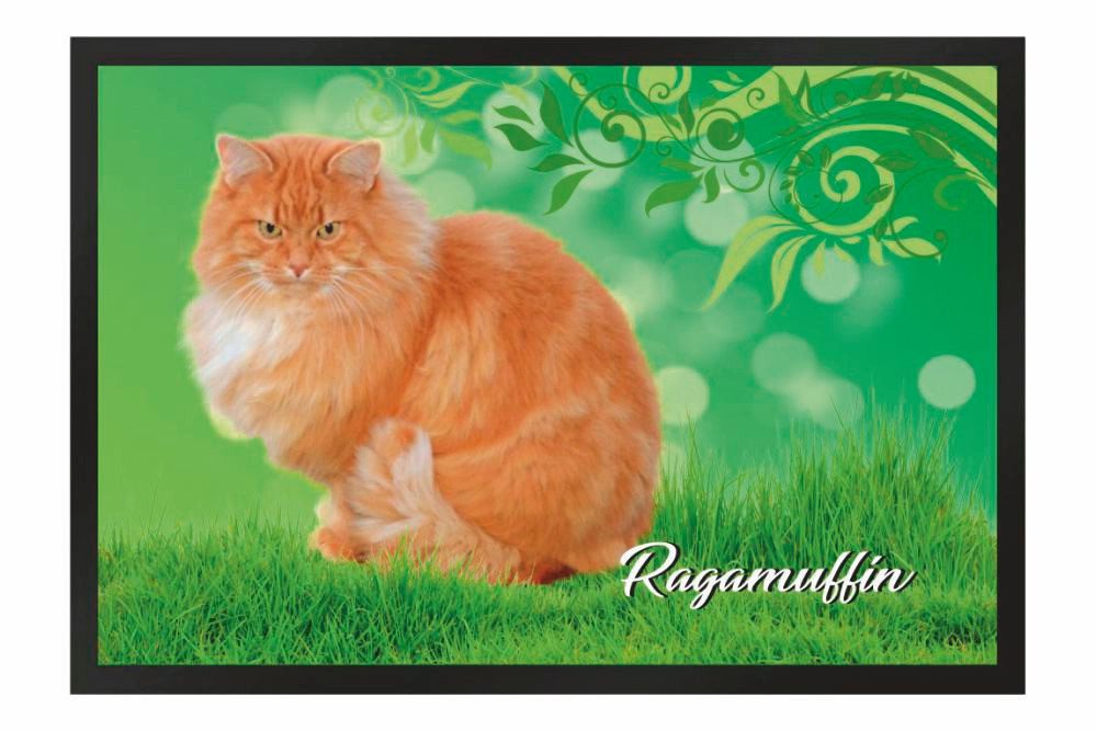 Ladreas Fußmatte Schmutzfangmatte Katze Rassekatze RagaMuffin günstig online kaufen