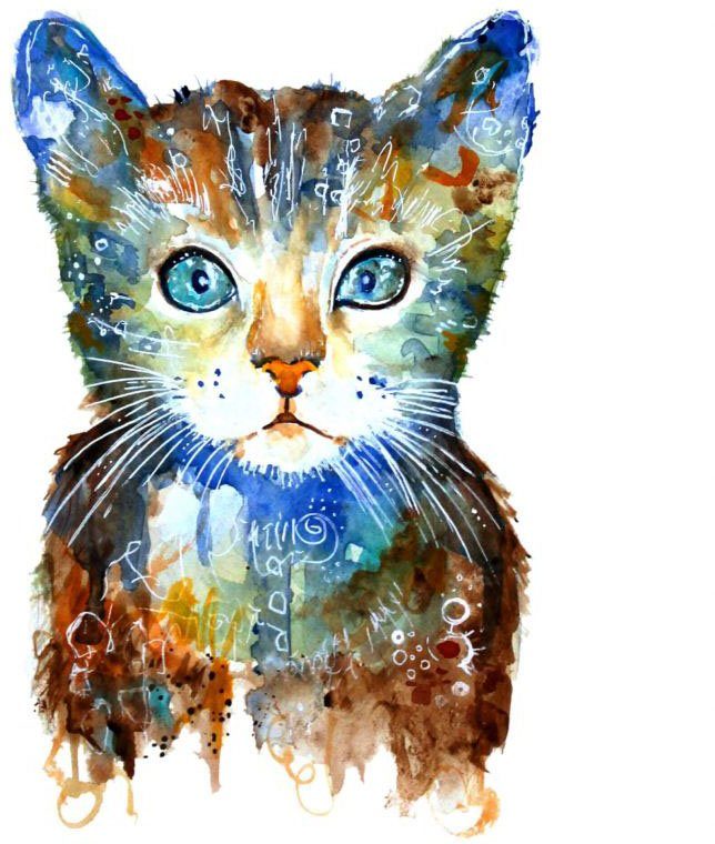 Katze Kleine Wall-Art - Wandtattoo (1 Lebensfreude St)