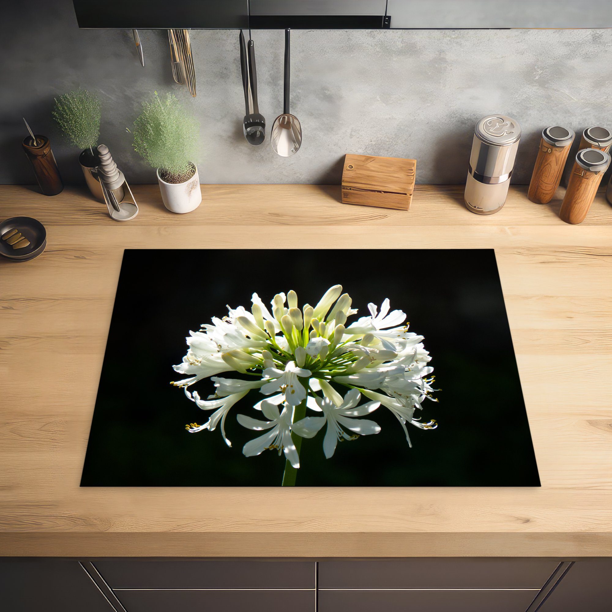 Ein die dunklen Induktionskochfeld küche, Schutz Ceranfeldabdeckung MuchoWow Herdblende-/Abdeckplatte blühender 71x52 Agapanthus einem Hintergrund, cm, tlg), vor (1 für Vinyl, weißer