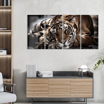 DEQORI Glasbild 'Ruhender Bengal Tiger', 'Ruhender Bengal Tiger', Glas Wandbild Bild schwebend modern