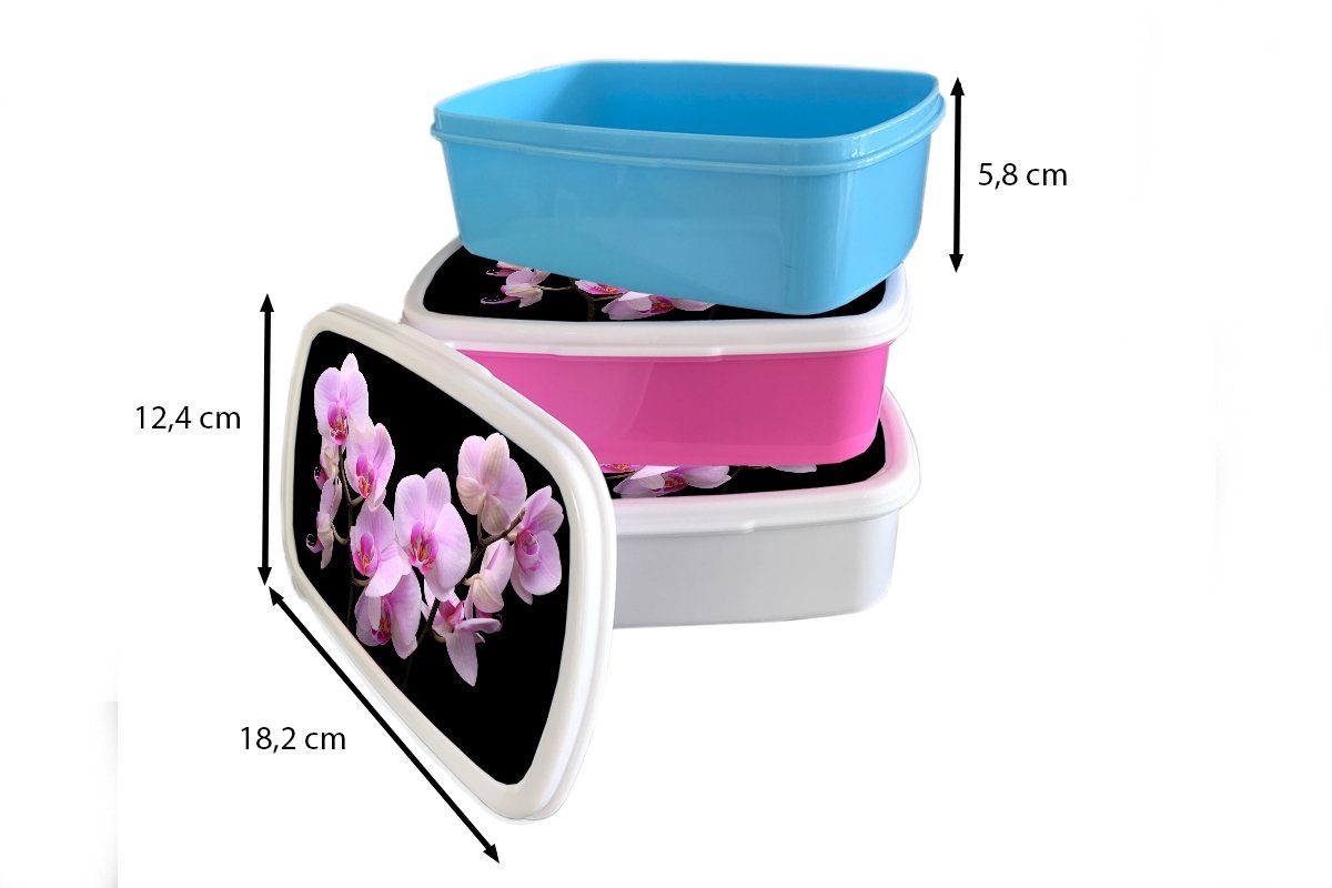 weiß - für Jungs für Rosa und Kinder - Brotbox - Kunststoff, Flora, Blumen (2-tlg), MuchoWow und Orchidee Mädchen Brotdose, Erwachsene, Lunchbox