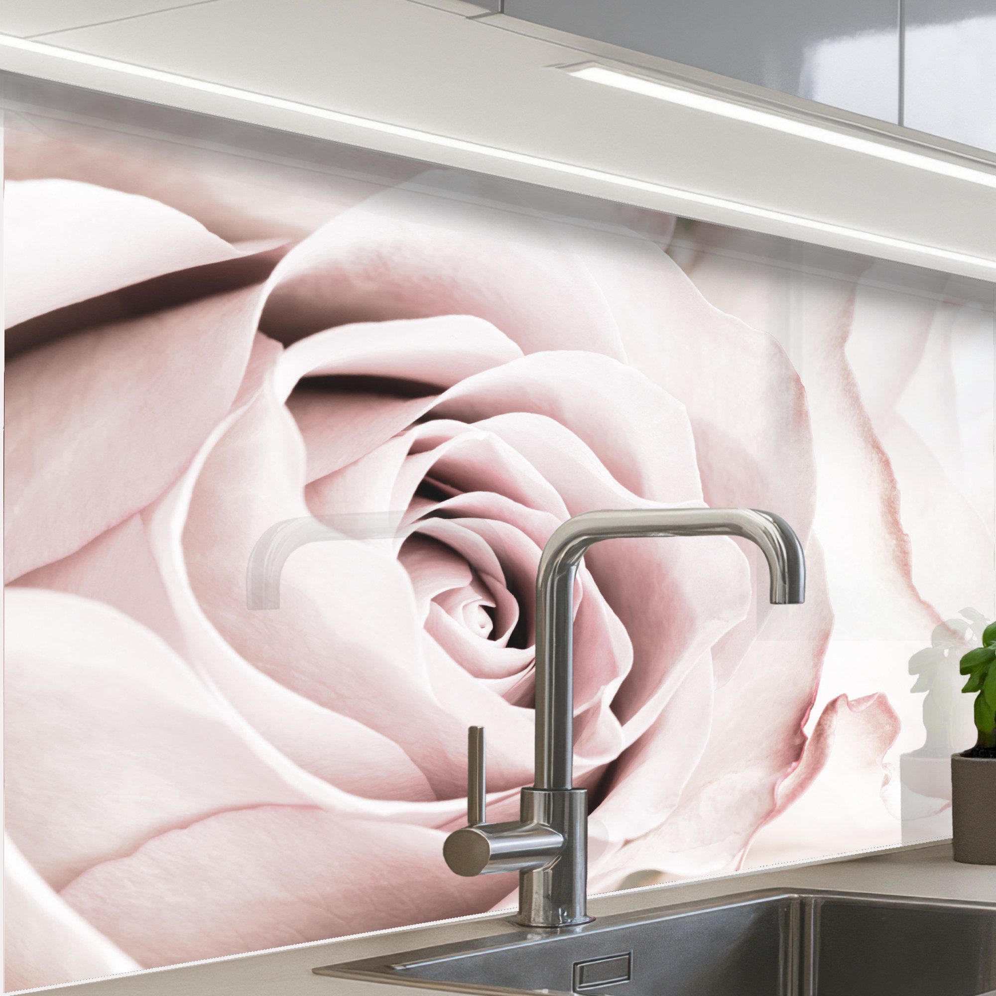 KitchenYeah Küchenrückwand Muster selbstklebend (keine Folie) Blumen - Rose - Rosa - Botanisch, (1-tlg), Spritzschutz, Küche, Rückwand, Küchenwand, Küchenfront, 30x20 cm