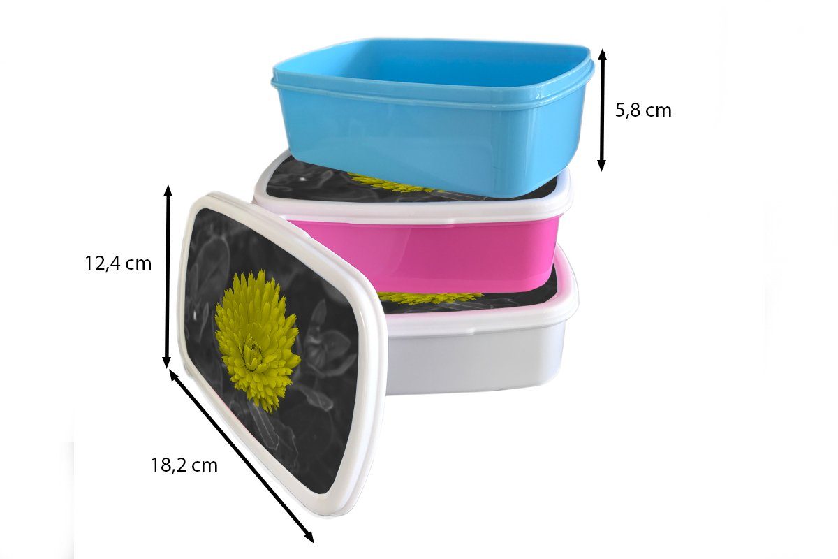 MuchoWow Lunchbox Blumen - (2-tlg), weiß Brotdose, für Brotbox Mädchen Erwachsene, für Löwenzahn, Kunststoff, und Kinder Aquarell und - Jungs