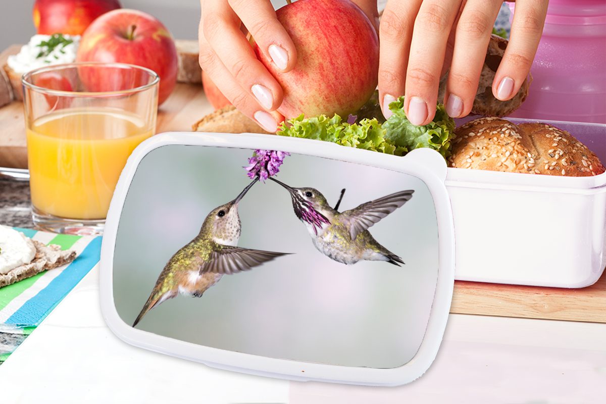 Vögel Brotdose, - für und Pflanze, weiß Kinder Erwachsene, Mädchen Kolibri (2-tlg), Brotbox Lunchbox MuchoWow - Kunststoff, und für Jungs