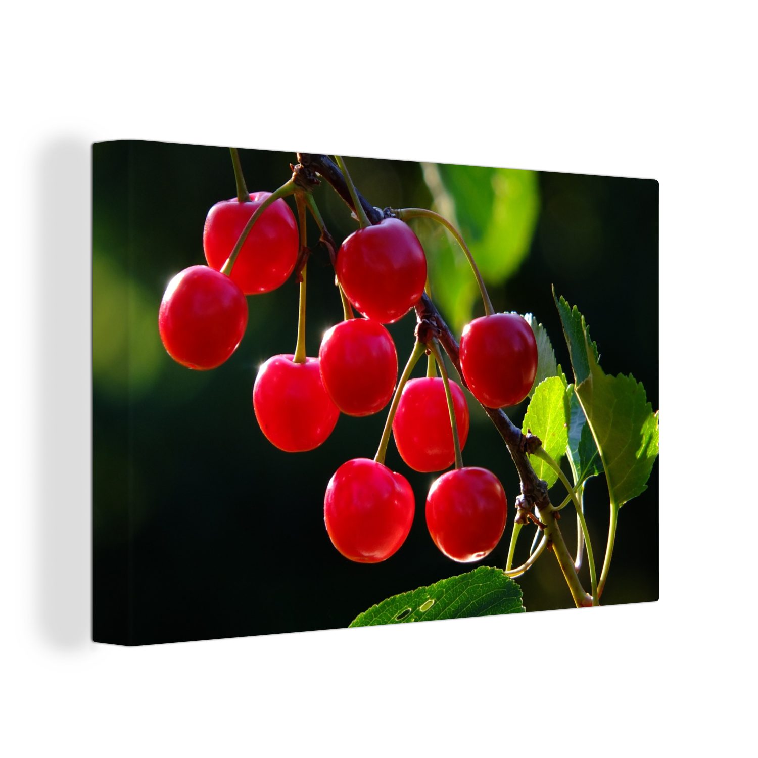 OneMillionCanvasses® Leinwandbild Obst - Kirsche - Zweig, (1 St), Wandbild Leinwandbilder, Aufhängefertig, Wanddeko, 30x20 cm