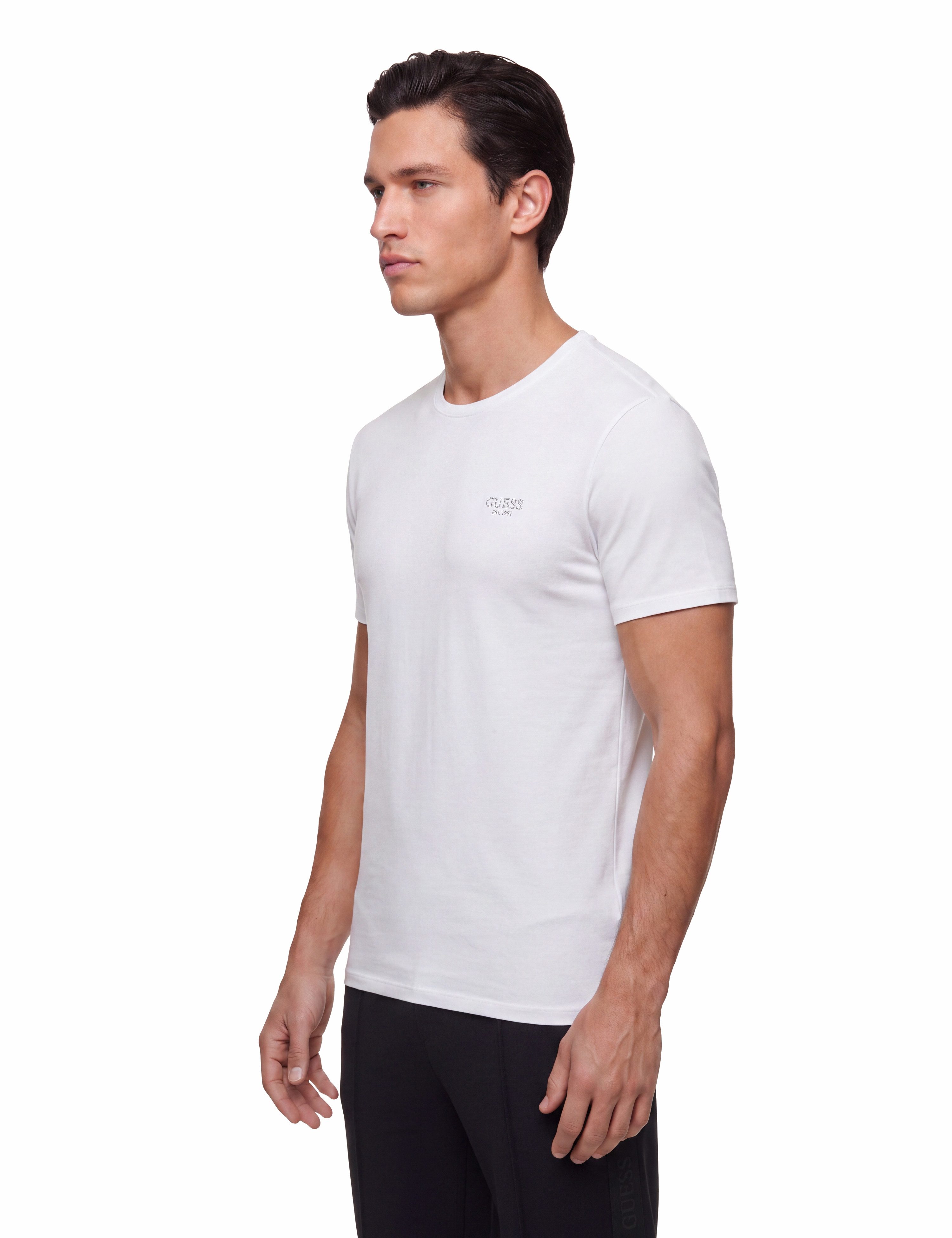 Guess T-Shirt Rundhalsausschnitt, Baumwoll-Mix, Logodruck