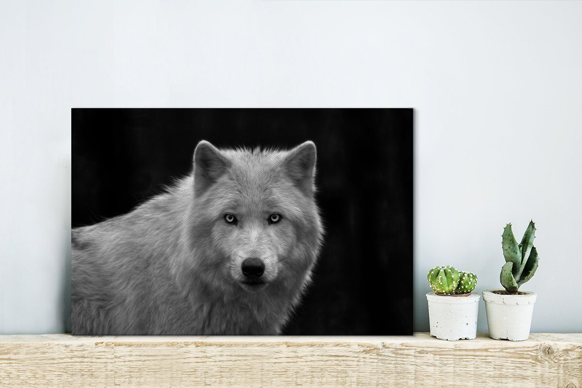 schwarzem cm Aufhängefertig, Leinwandbilder, (1 Starrender Wandbild Leinwandbild St), OneMillionCanvasses® Lakota-Wolf 30x20 Wanddeko, auf Hintergrund,