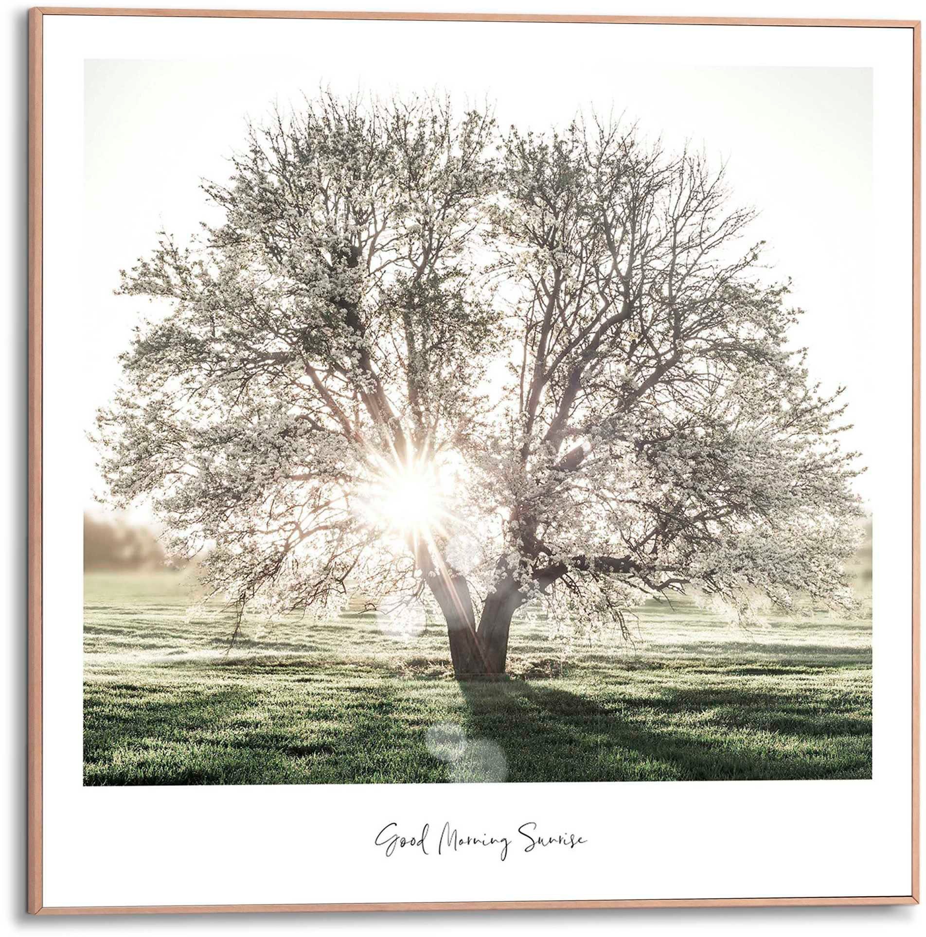 Reinders! Poster Morgensonne günstig online kaufen