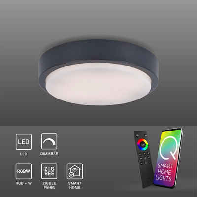 Paul Neuhaus Smarte LED-Leuchte LED Außen-Deckenleuchte Q - LENNY Smart Home, Smart Home, RGB-Farbwechsel, Dimmfunktion, Memoryfunktion, mit Leuchtmittel, RGB+W Farbwechsel dimmbar, Fernbedienung App Alexa