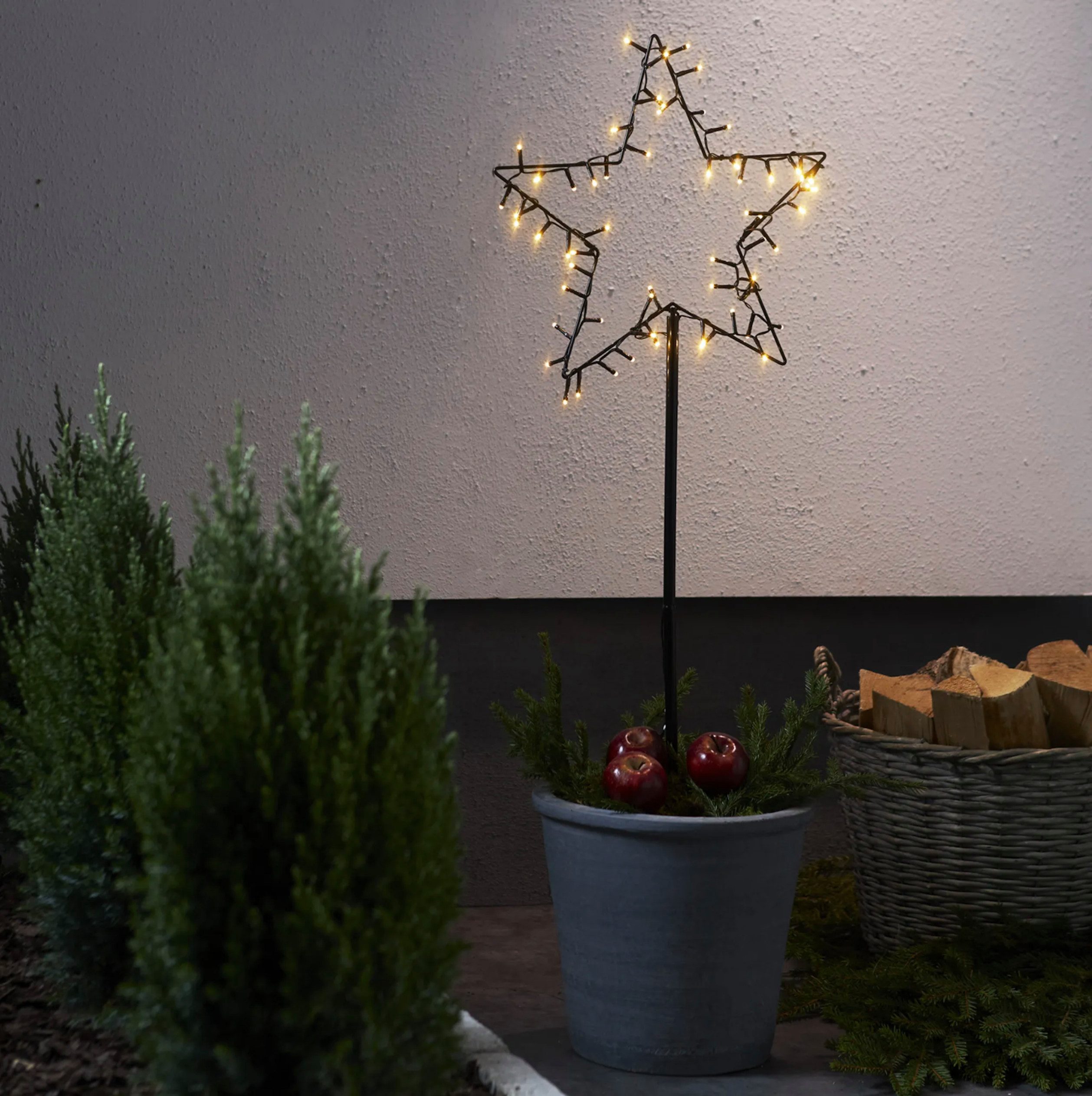 STAR TRADING LED Stern Gartenstecker Spiky, LED fest integriert, warmweiß