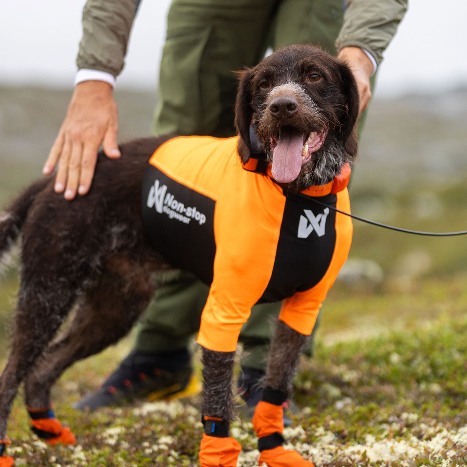 Non-stop dogwear Hundeweste Protector Half-Suit, für zusätzlichen Schutz