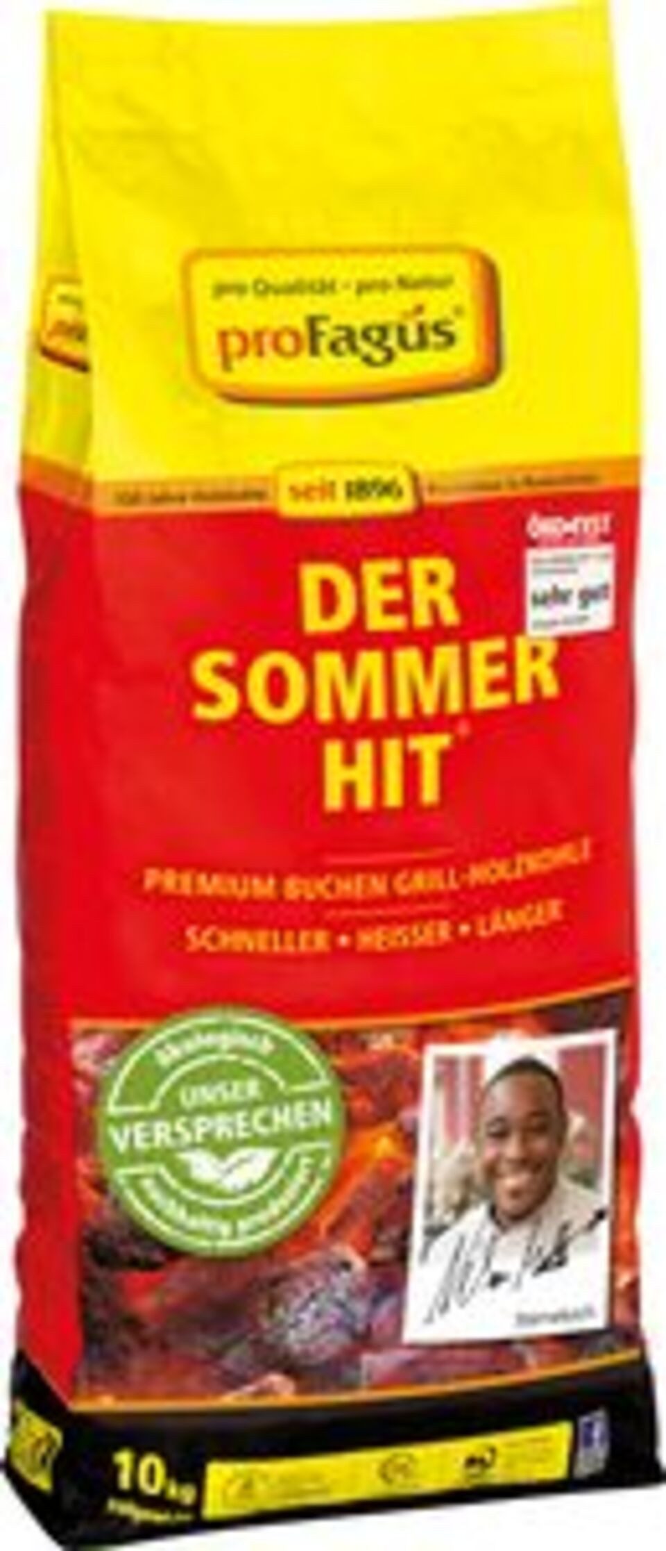 proFagus Holzkohle Sommerhit Holzkohle 10kg Palette, (1-St)