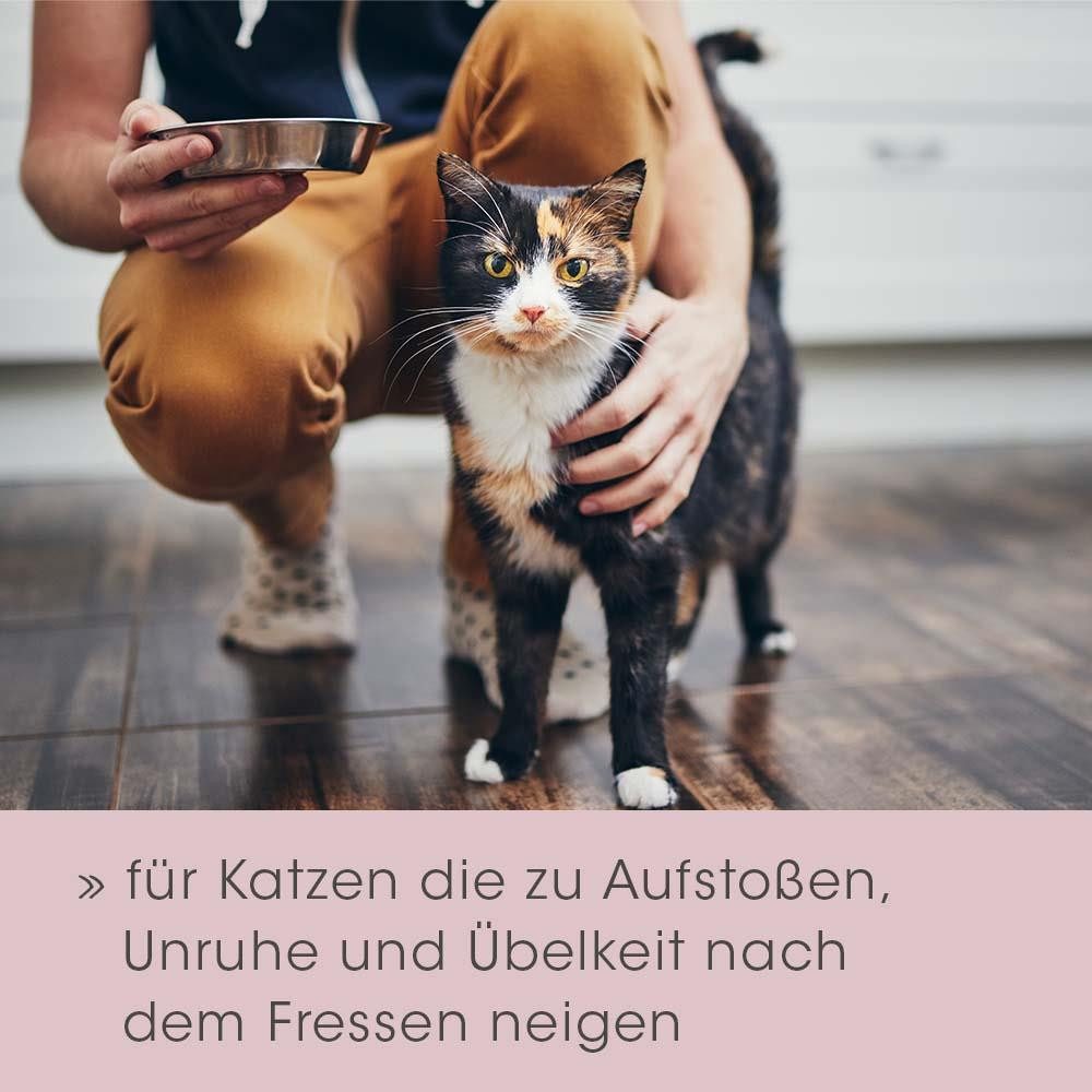 cdVet feliTATZ Magenschutz, Nahrungsergänzungsmittel für: Katzen