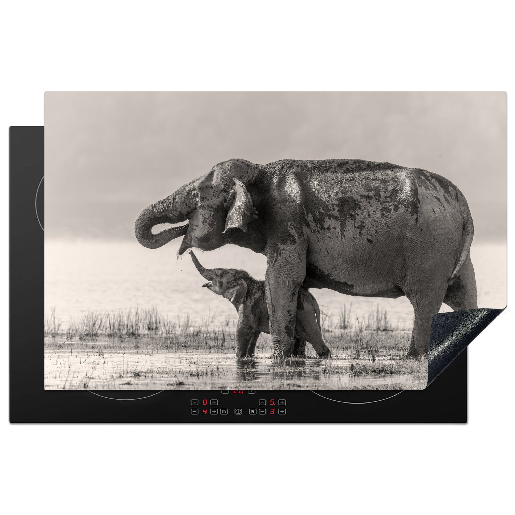 MuchoWow Herdblende-/Abdeckplatte Elefant - Schwarz - Weiß, Vinyl, (1 tlg), 81x52 cm, Induktionskochfeld Schutz für die küche, Ceranfeldabdeckung