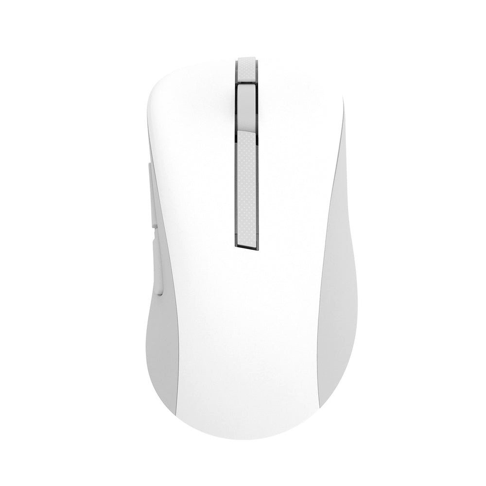 Asus Maus