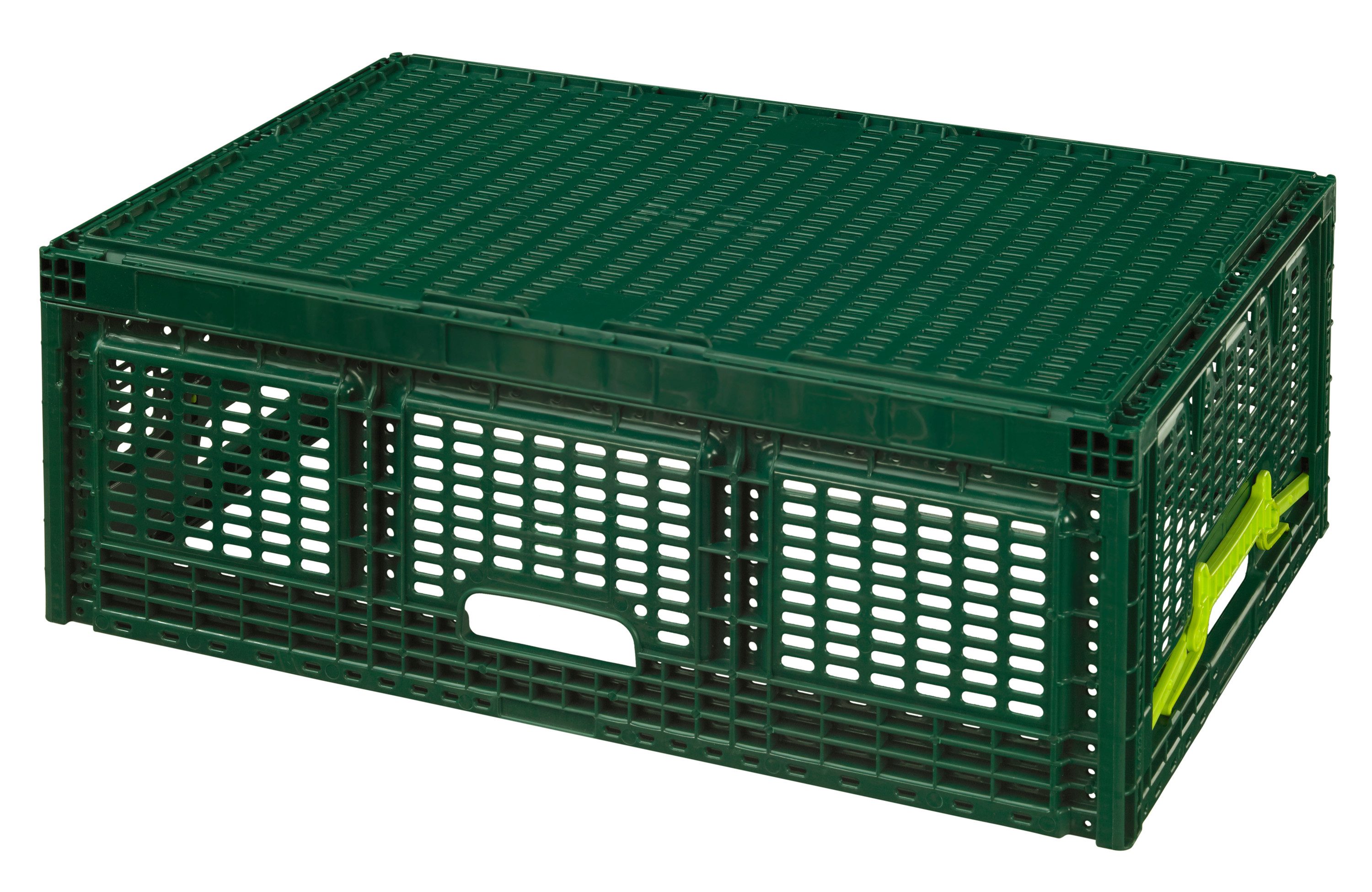 Logiplast Klappbox 10 stabile Einkaufskörbe / Klappkisten / Faltboxen, 46 l, Faltbar – Bild 3 von 5