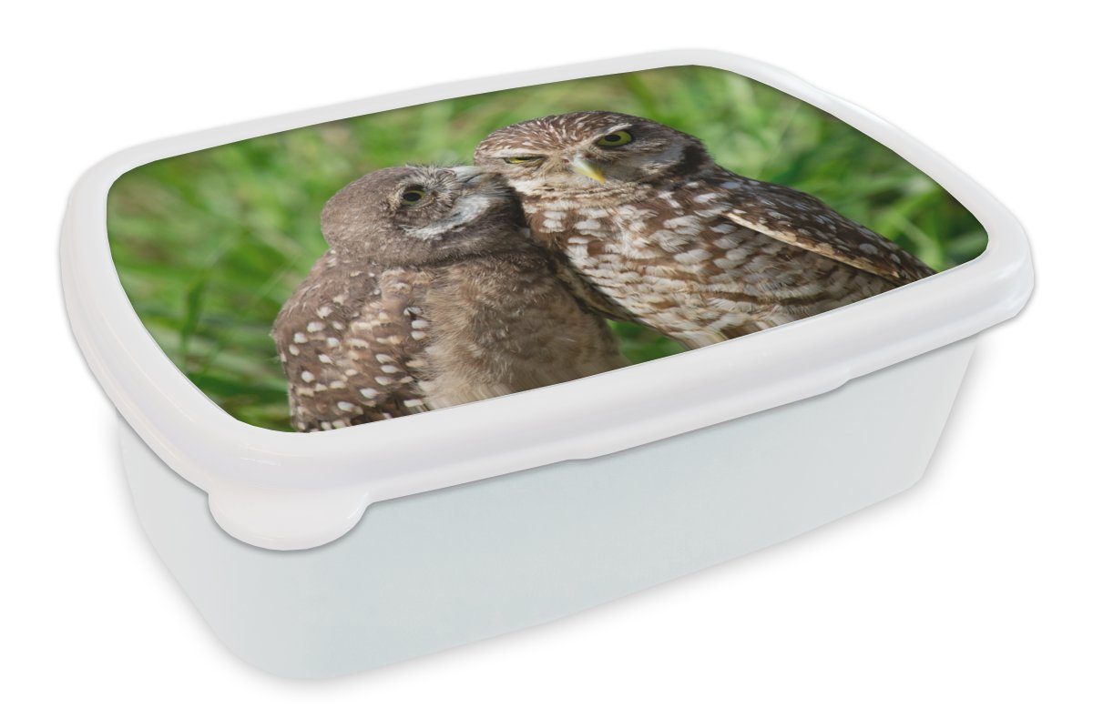 - Brotbox und Gras, Brotdose, Eulen - (2-tlg), Vögel weiß Lunchbox Erwachsene, Kunststoff, MuchoWow für Mädchen und Kinder Jungs für