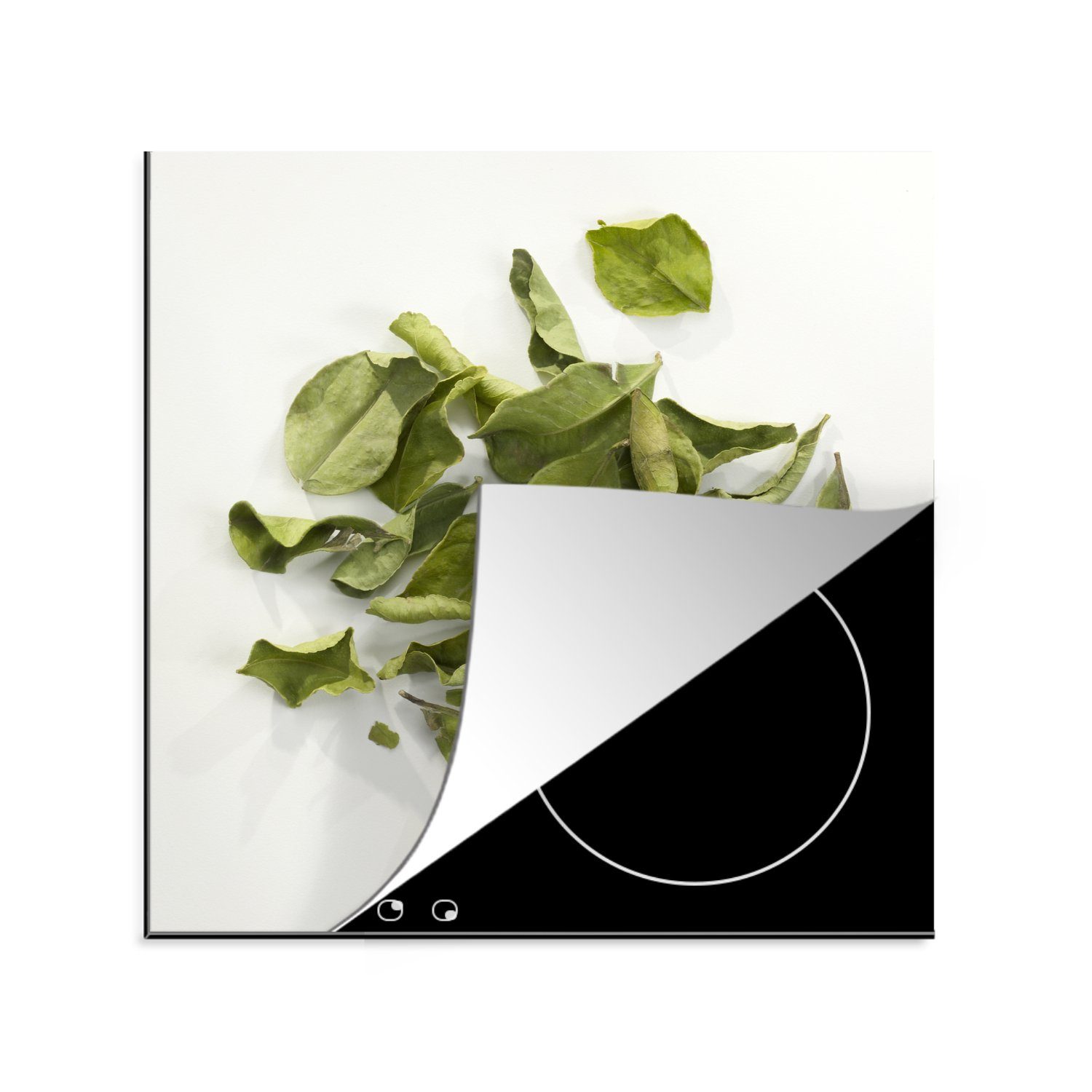 MuchoWow Herdblende-/Abdeckplatte Getrocknete Djeroek-Poeroet-Blätter auf einem Haufen vor einem weißen, Vinyl, (1 tlg), 78x78 cm, Ceranfeldabdeckung, Arbeitsplatte für küche