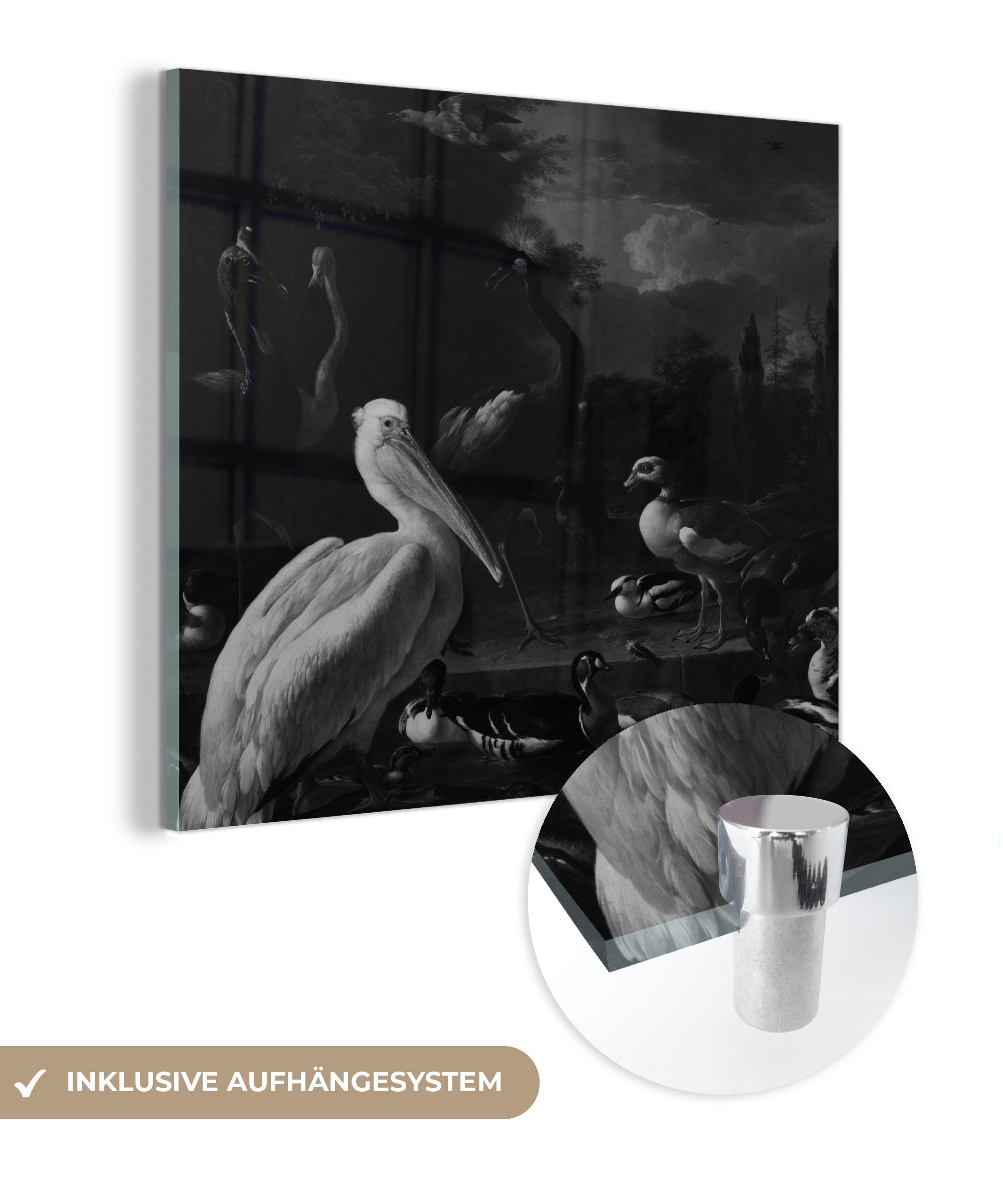 MuchoWow Acrylglasbild Ein Pelikan und andere Vögel in der Nähe eines Wasserbeckens -, (1 St), Glasbilder - Bilder auf Glas Wandbild - Foto auf Glas - Wanddekoration