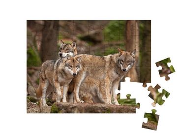 puzzleYOU Puzzle Wolfsfamilie in ihrem natürlichen Lebensraum, 48 Puzzleteile, puzzleYOU-Kollektionen Wölfe, Raubtiere, Tiere des Nordens