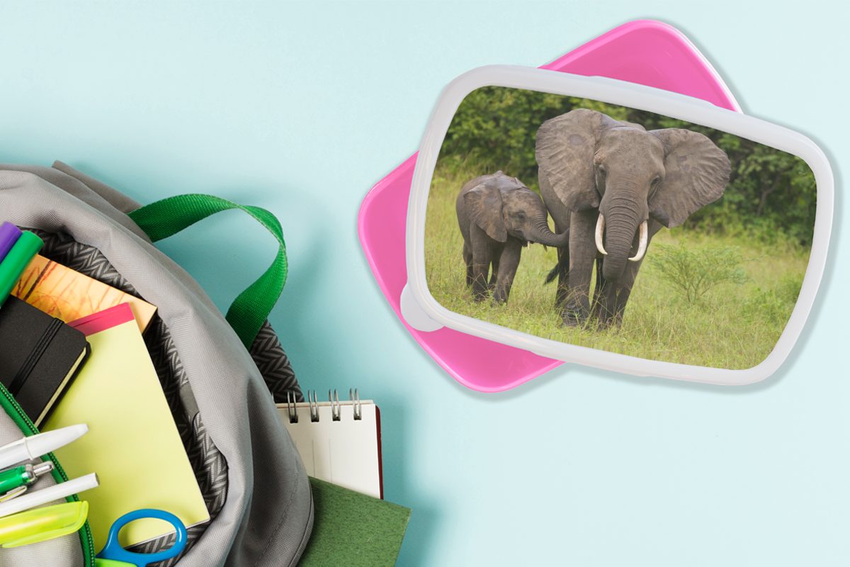 Kunststoff, Erwachsene, rosa Landschaft, Brotdose Kinder, Snackbox, für Mädchen, Brotbox MuchoWow (2-tlg), - Kalb - Elefant Lunchbox Kunststoff