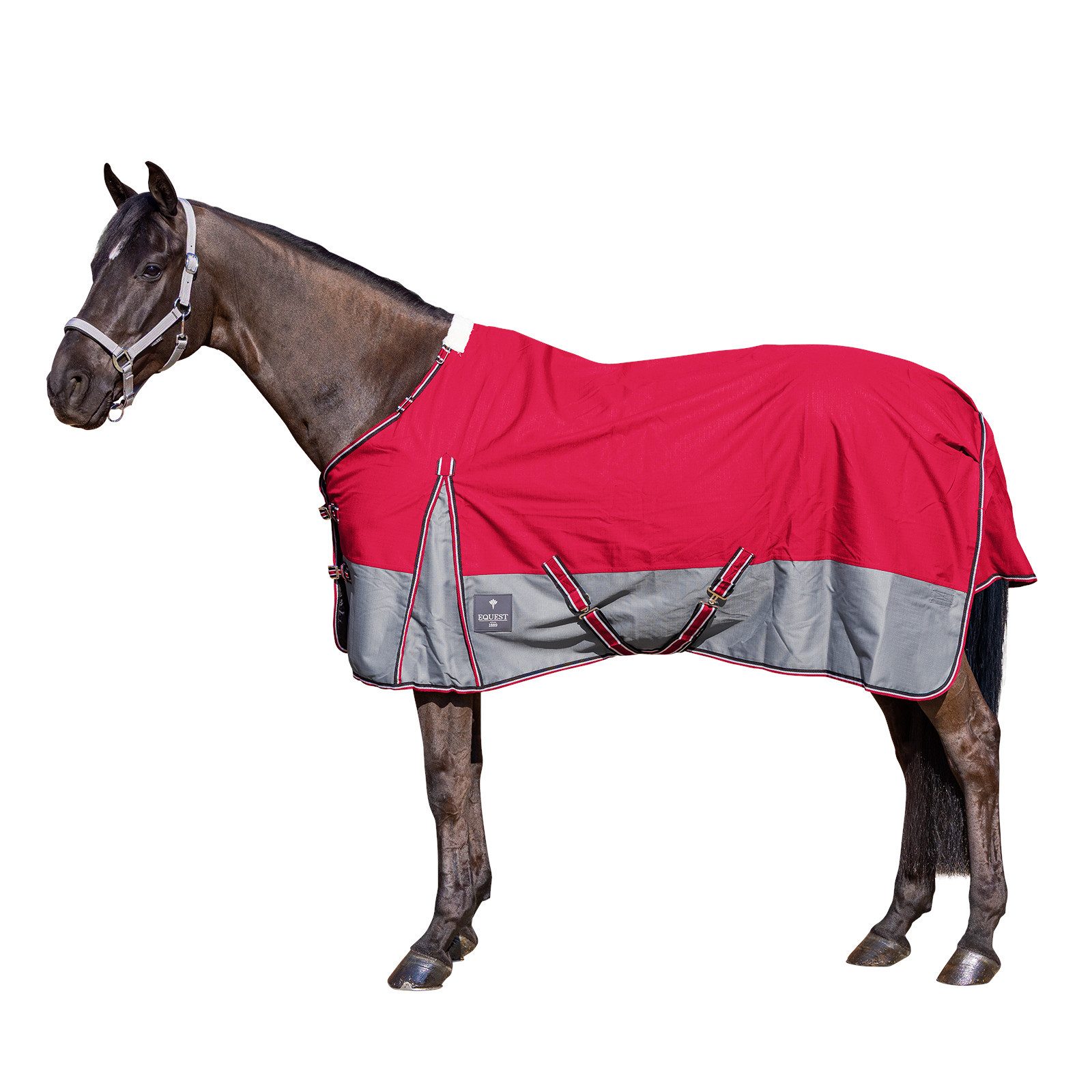 Pferde-Regendecke Outdoordecke Rainmaster 0g, Regendecke für Pferde, Rot/Grau, L / 14...